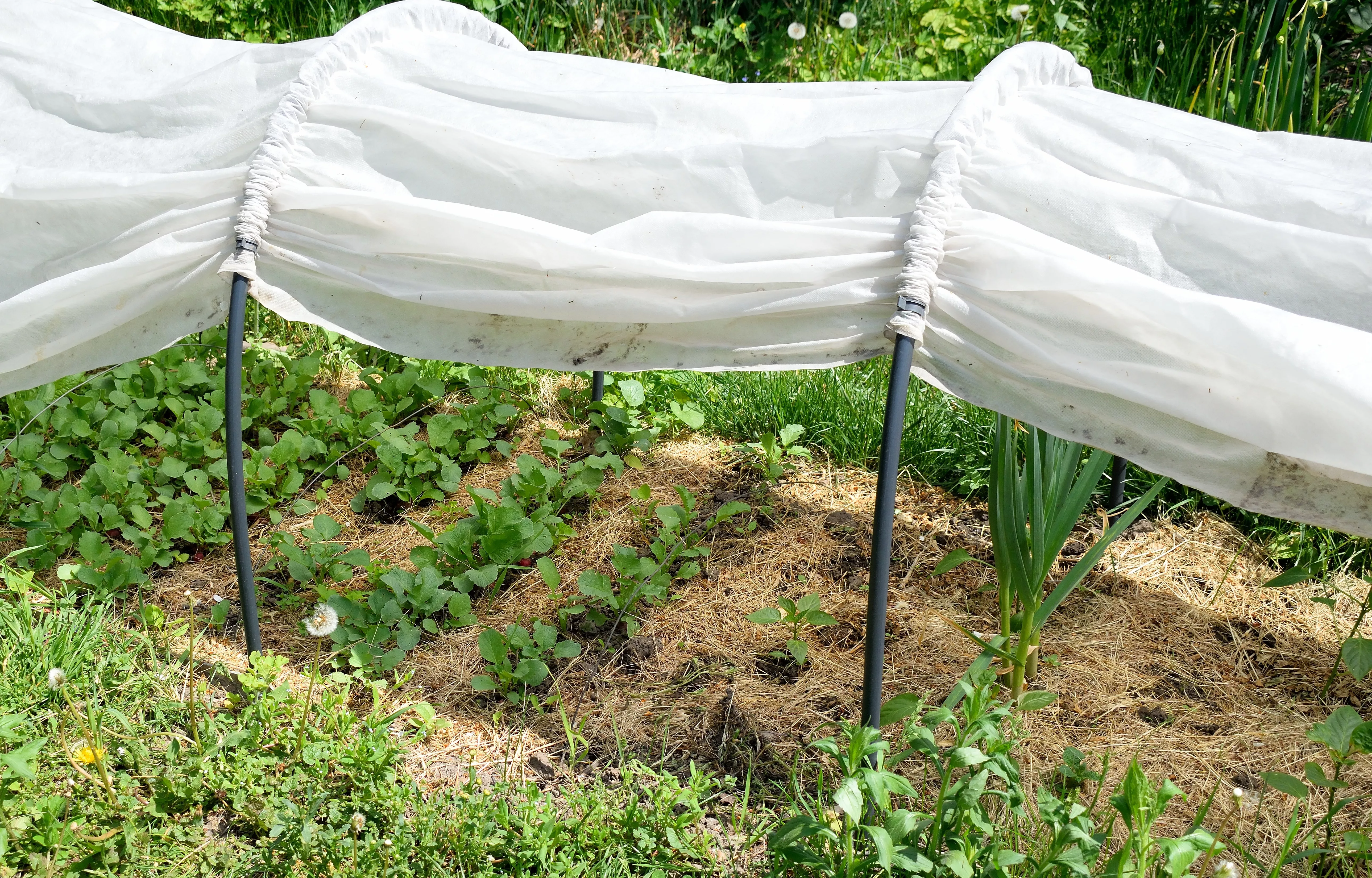 shutterstock 2320369411