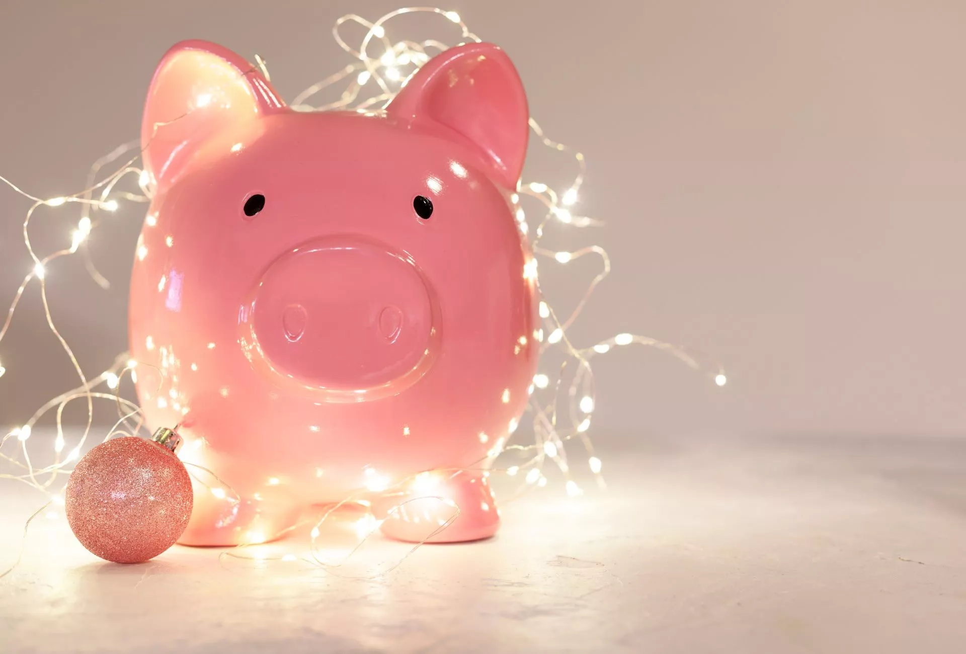 Lichterkette Sparschwein4