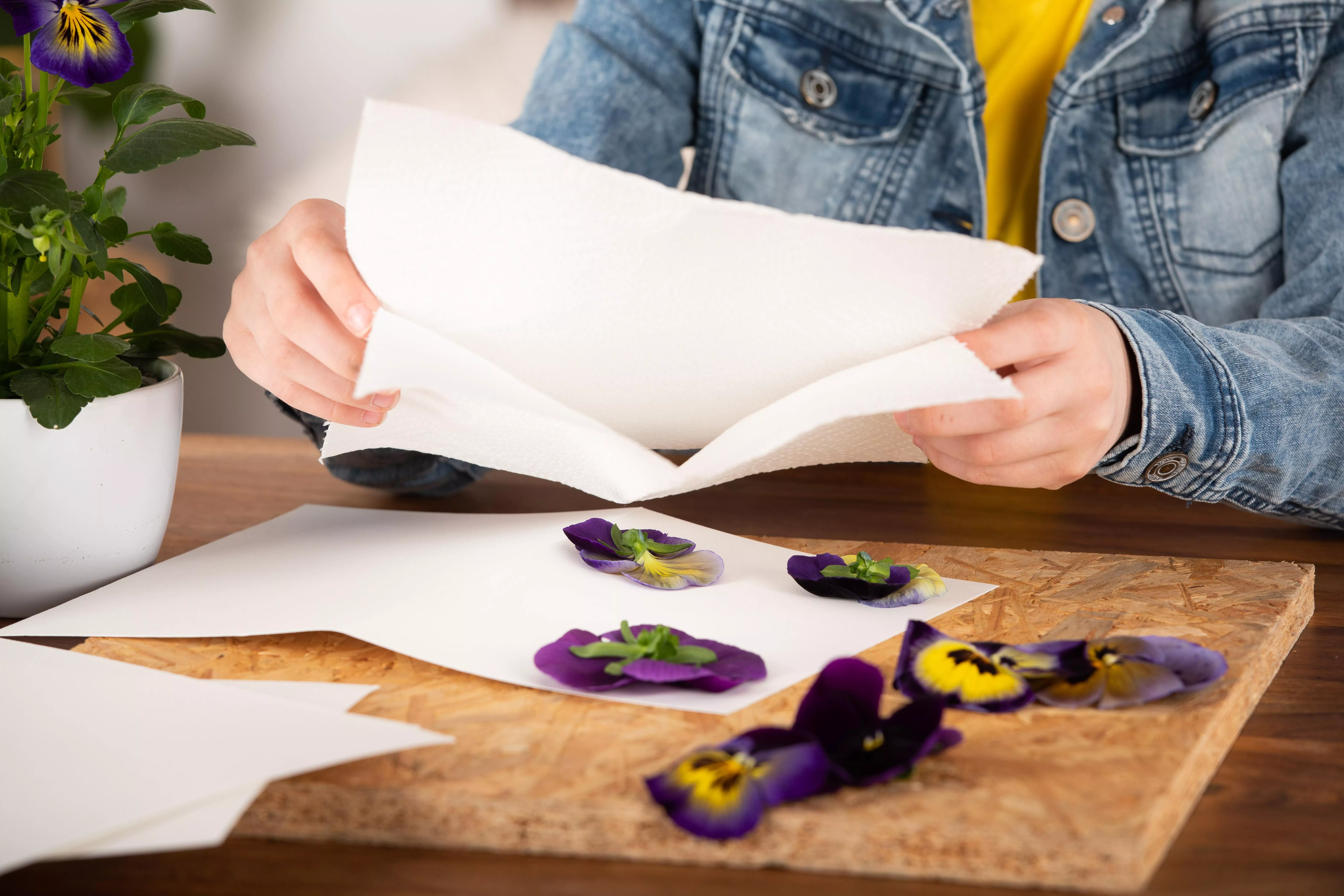 4 GS615647 Muttertagskarte Küchenpapier auf Blüten legen