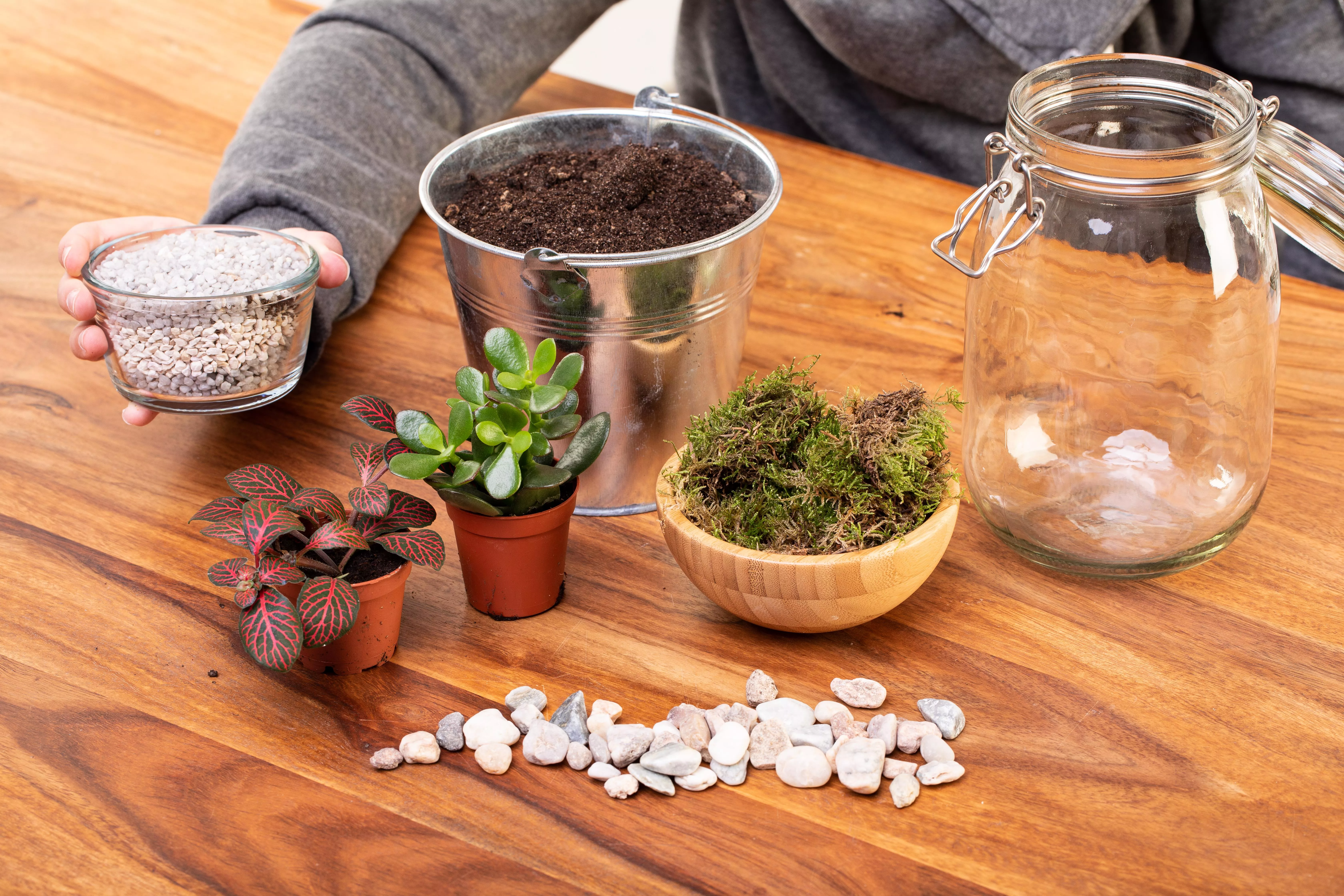 2 GS606046 DIY Biotop im Glas Materialien