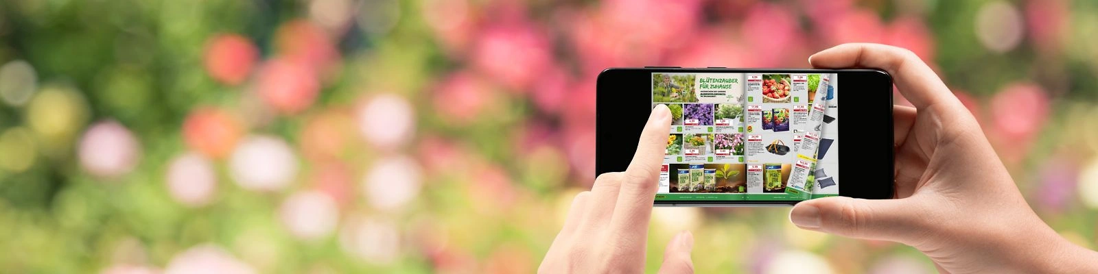 Website 1600x400 digitaler Prospekt Sommer