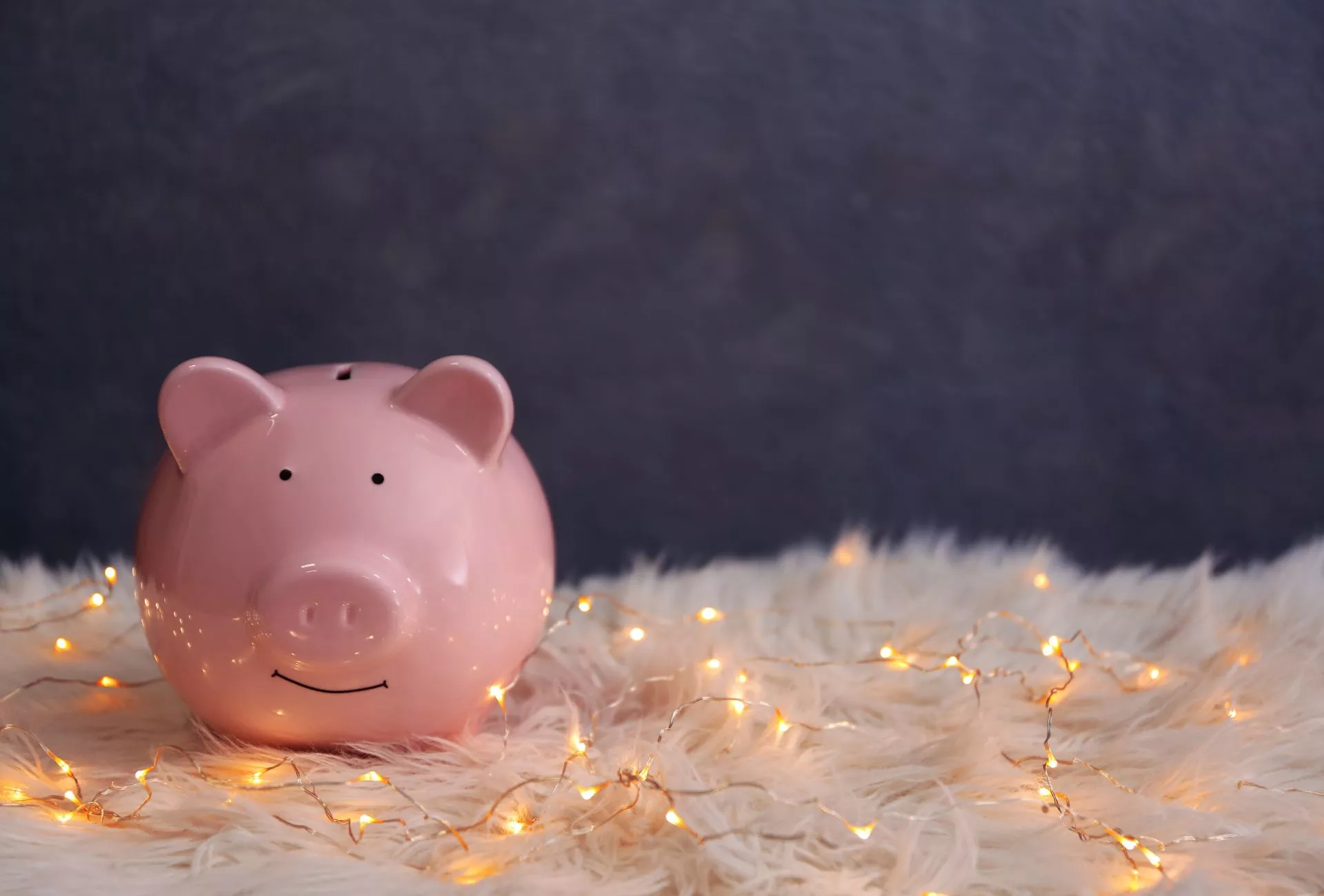 Lichterkette Sparschwein