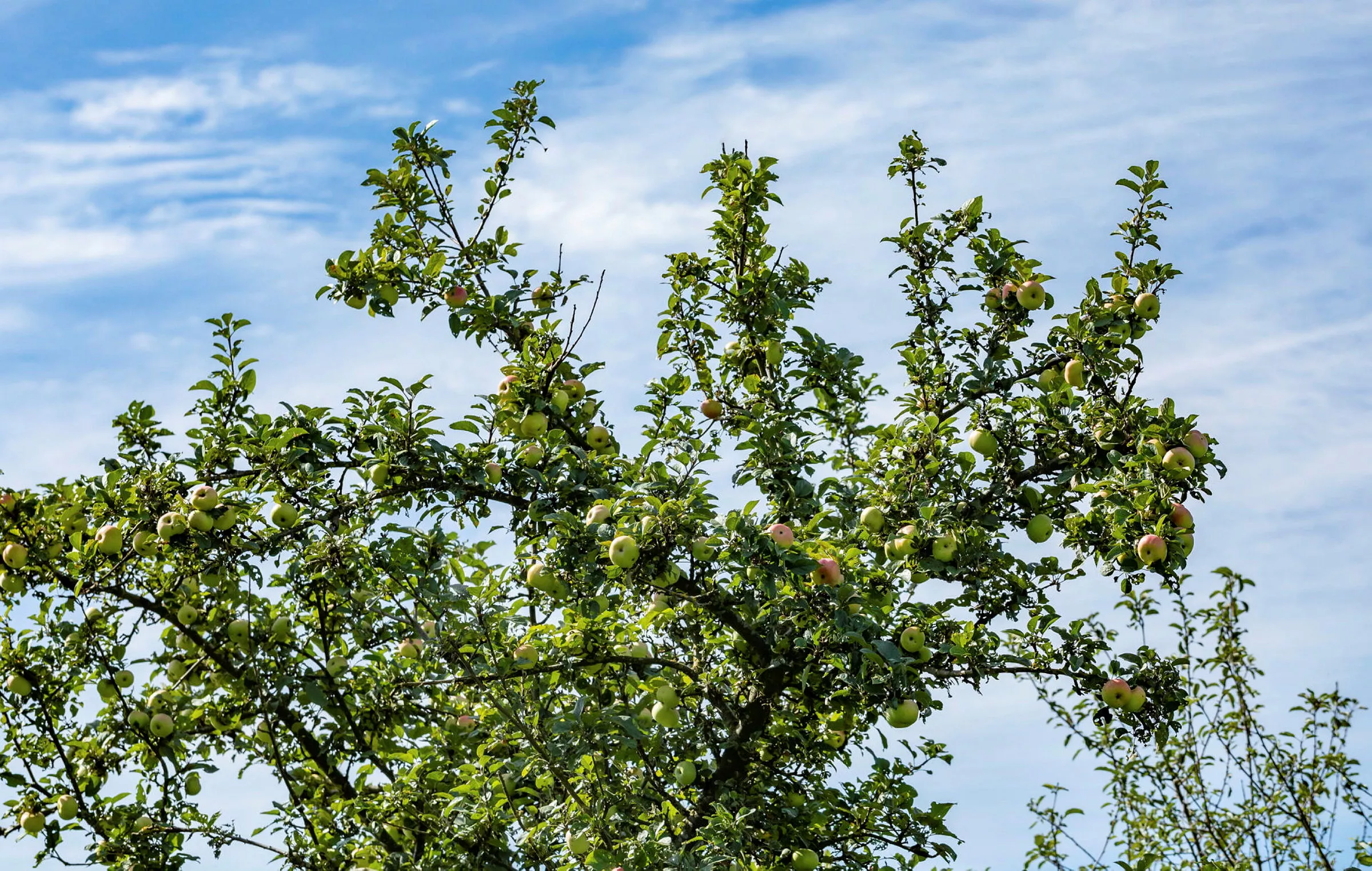 GS675134 jpg zCejifDvMX TOaVjwCUA gEQgw8RCam