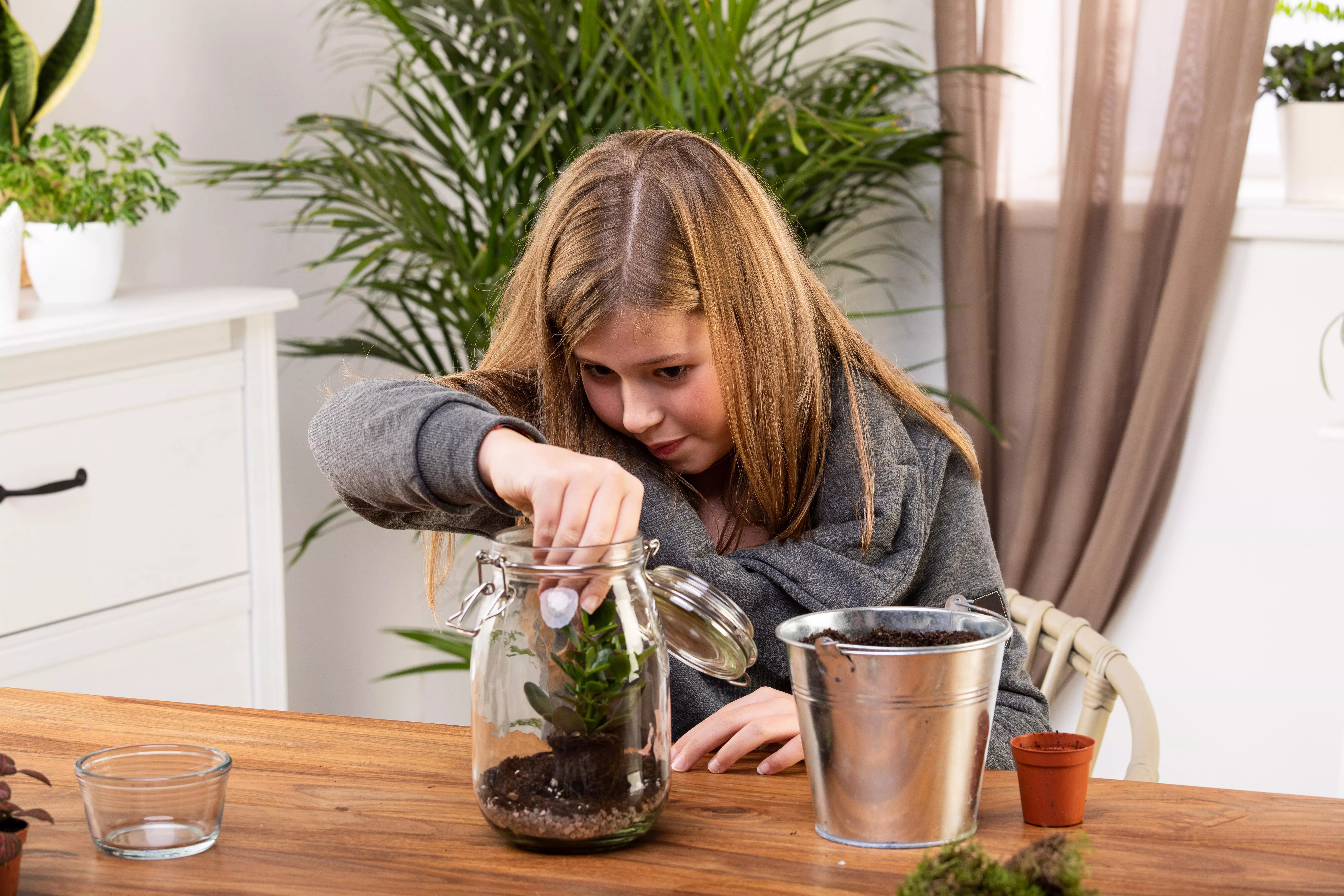 5 GS606042 DIY Biotop im Glas