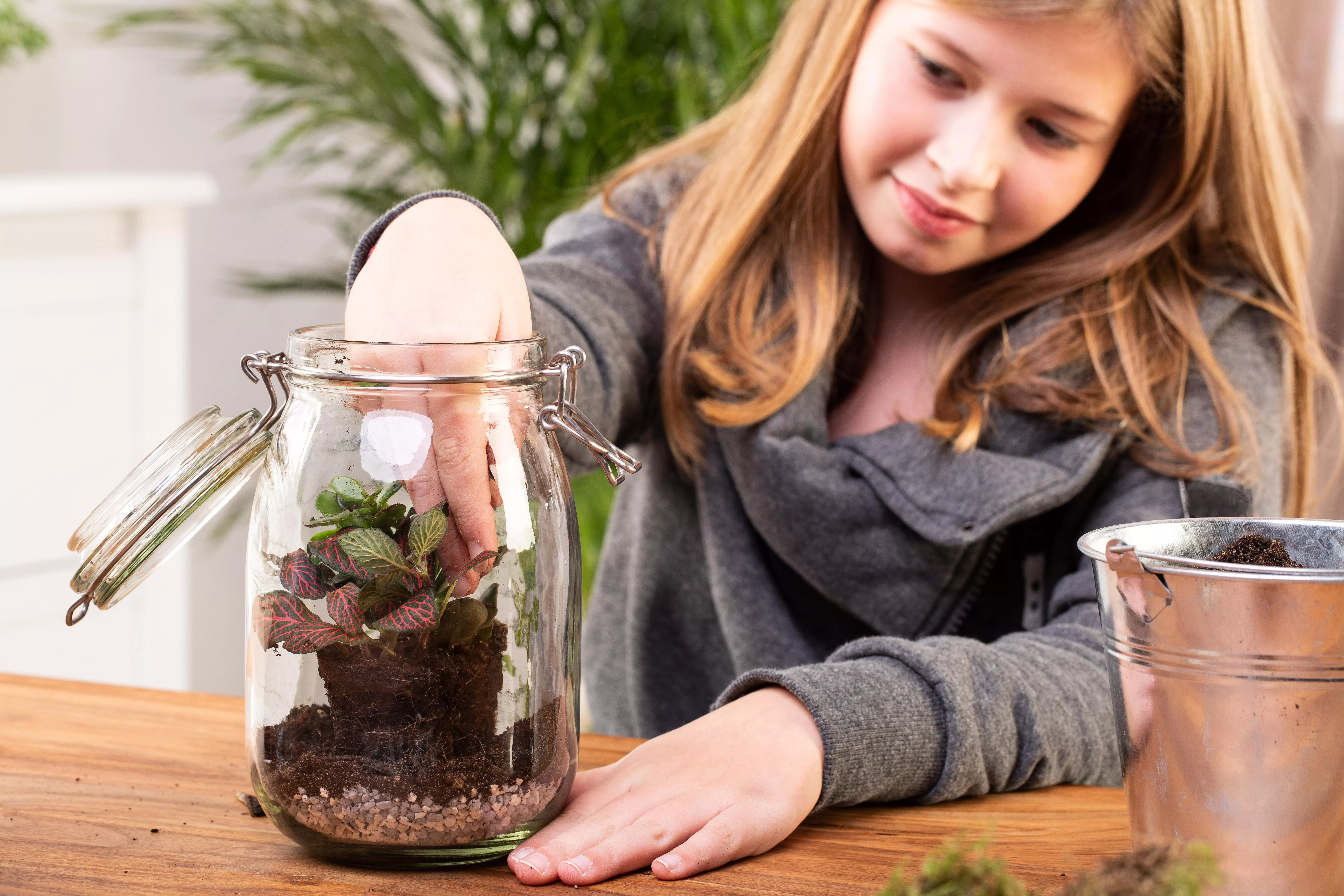 6 GS606050 DIY Biotop im Glas