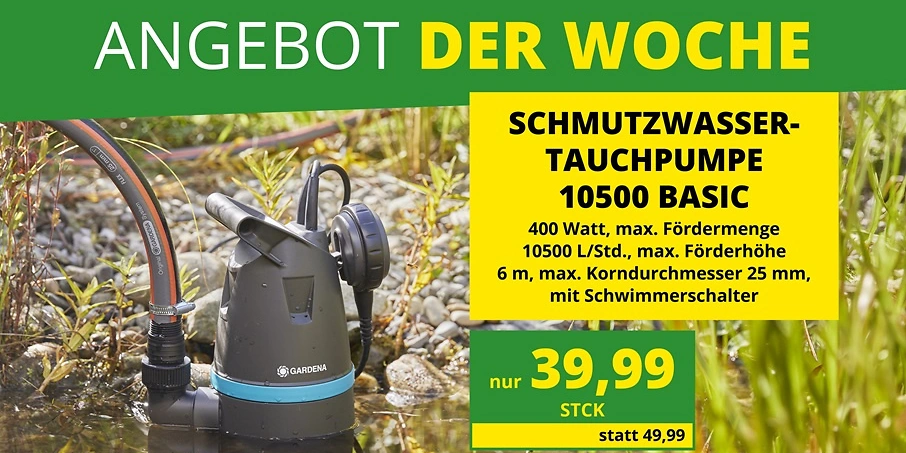 Kopie KW 34 2026 ADW Eichhorn ShopTV