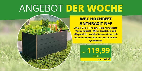 KW 18 2026 ADW Eichhorn Webkachel