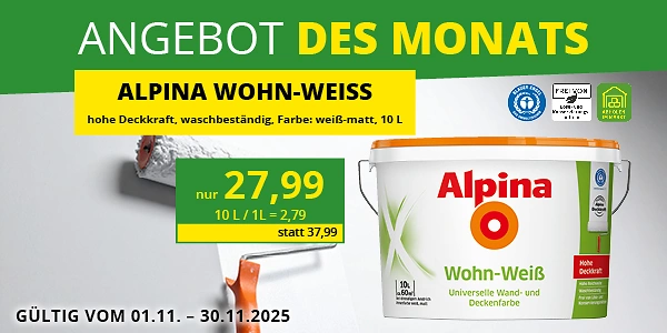 ADM Eichhorn November 25 Webkachel