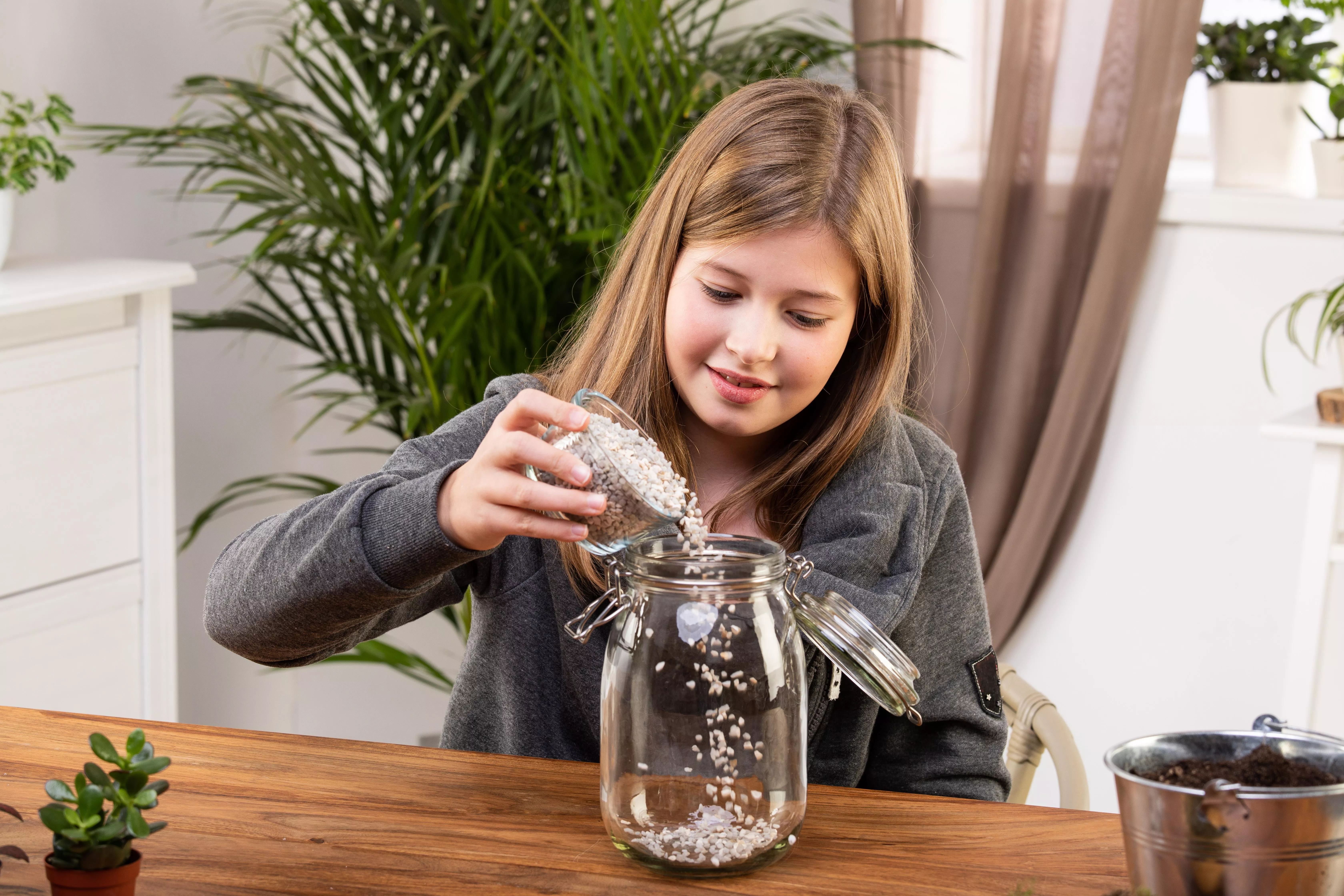 3 GS606040 DIY Biotop im Glas