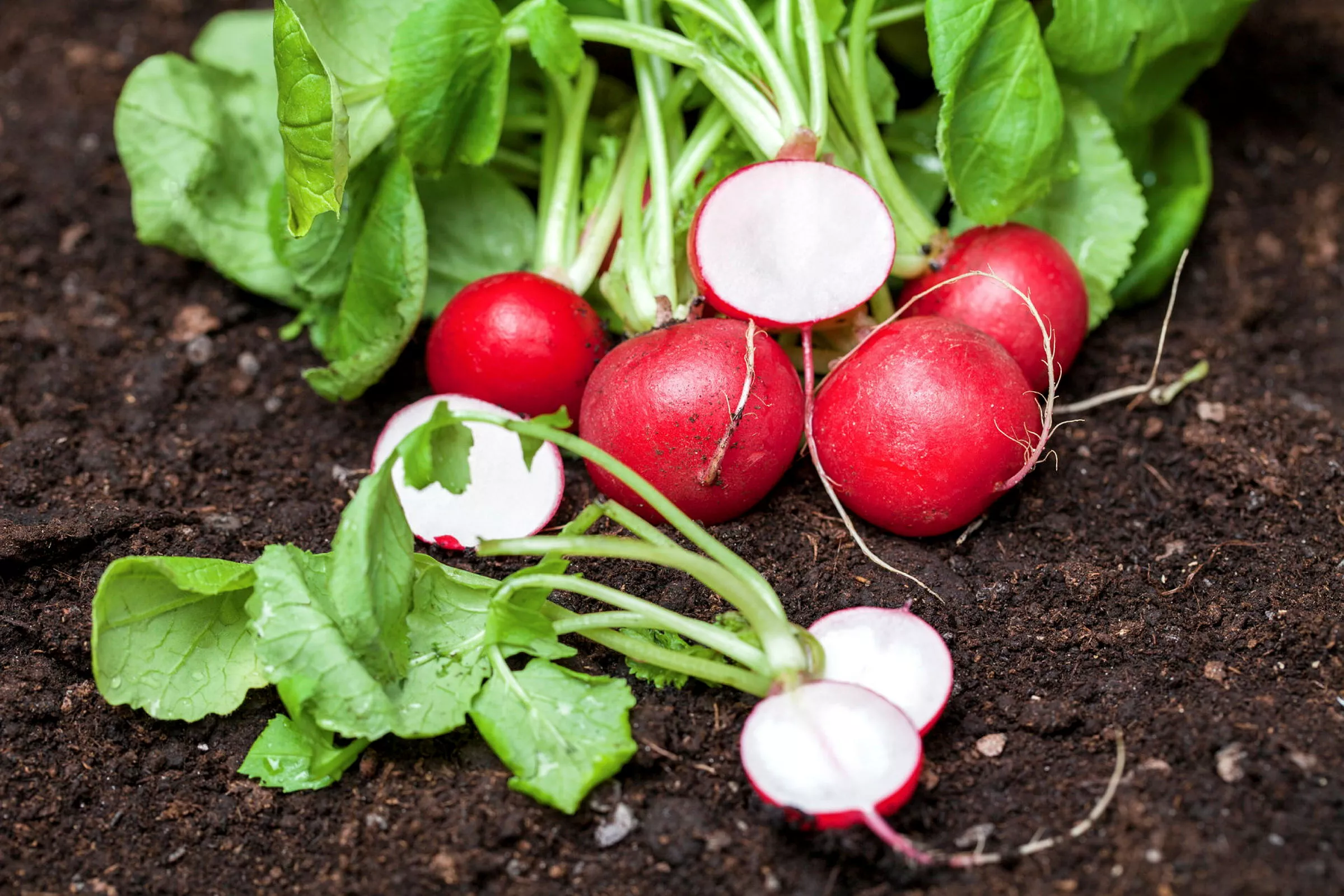 GS457325 jpg zCfZzfTvMfVrR6VjwCUA bIndAzwPO7