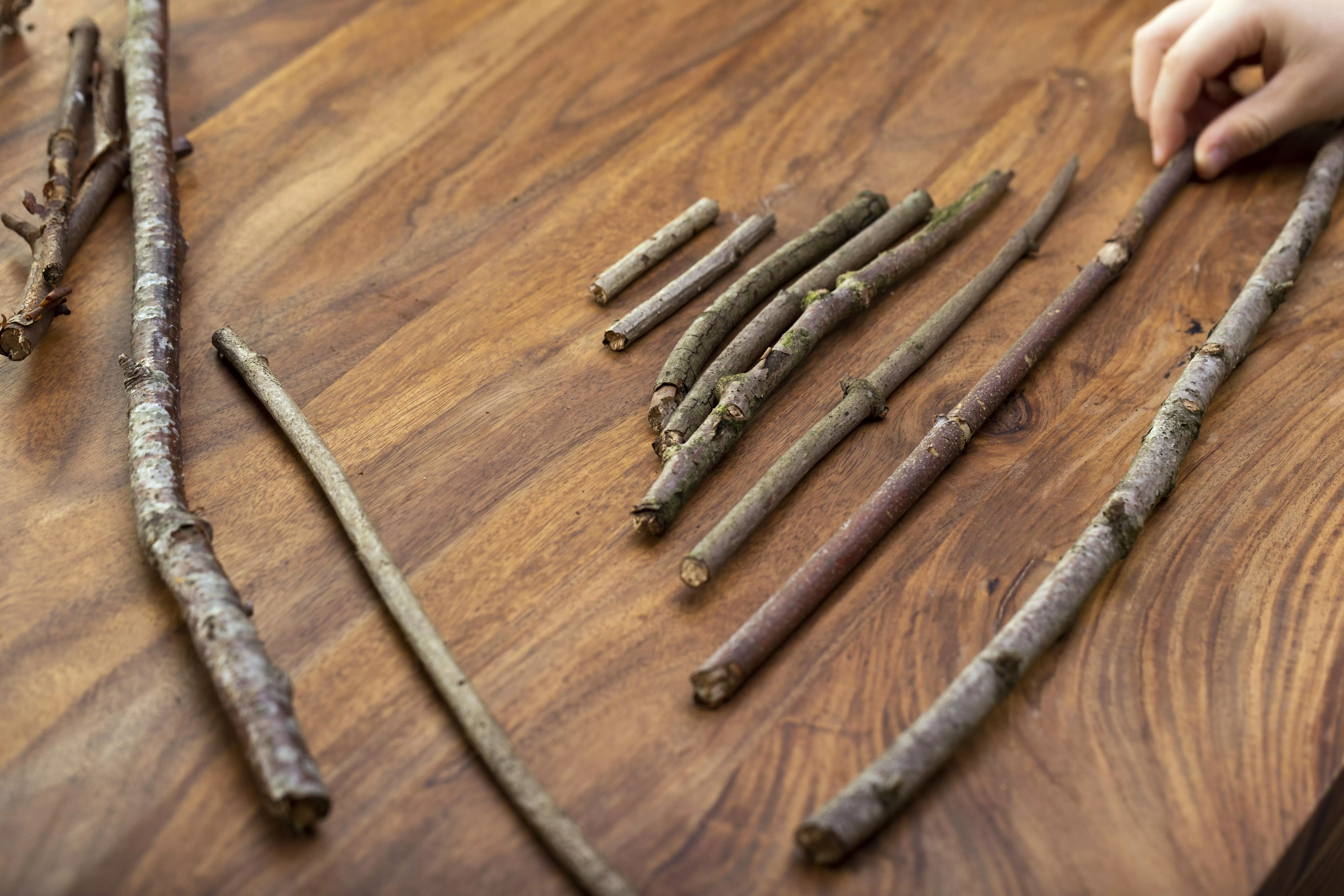 4 GS595652 Zerschnittene Stöcker