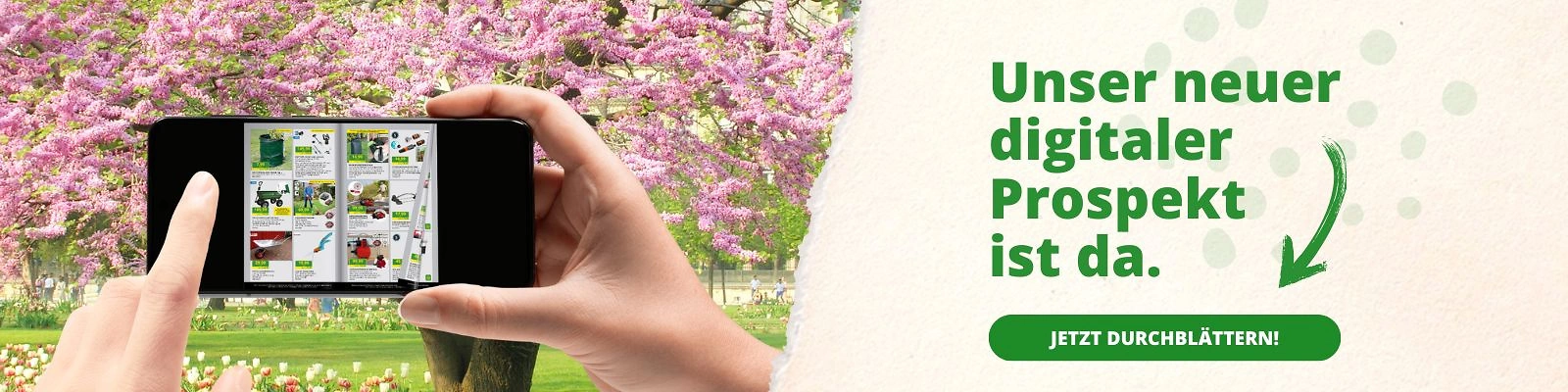Website 1600x400 digitaler Prospekt Frühling (2)