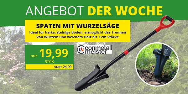 KW 21 2026 ADW Eichhorn Webkachel