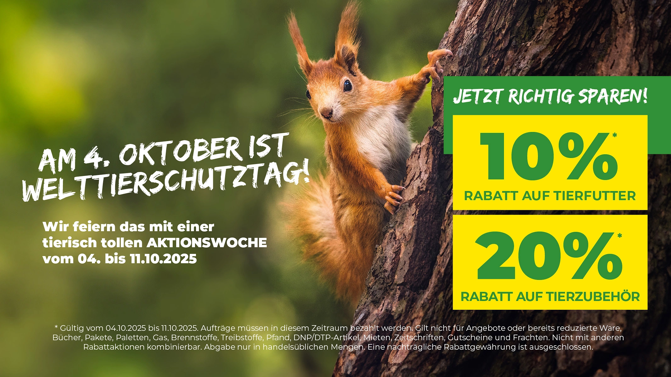 Welttierschutztag Website 1024x576