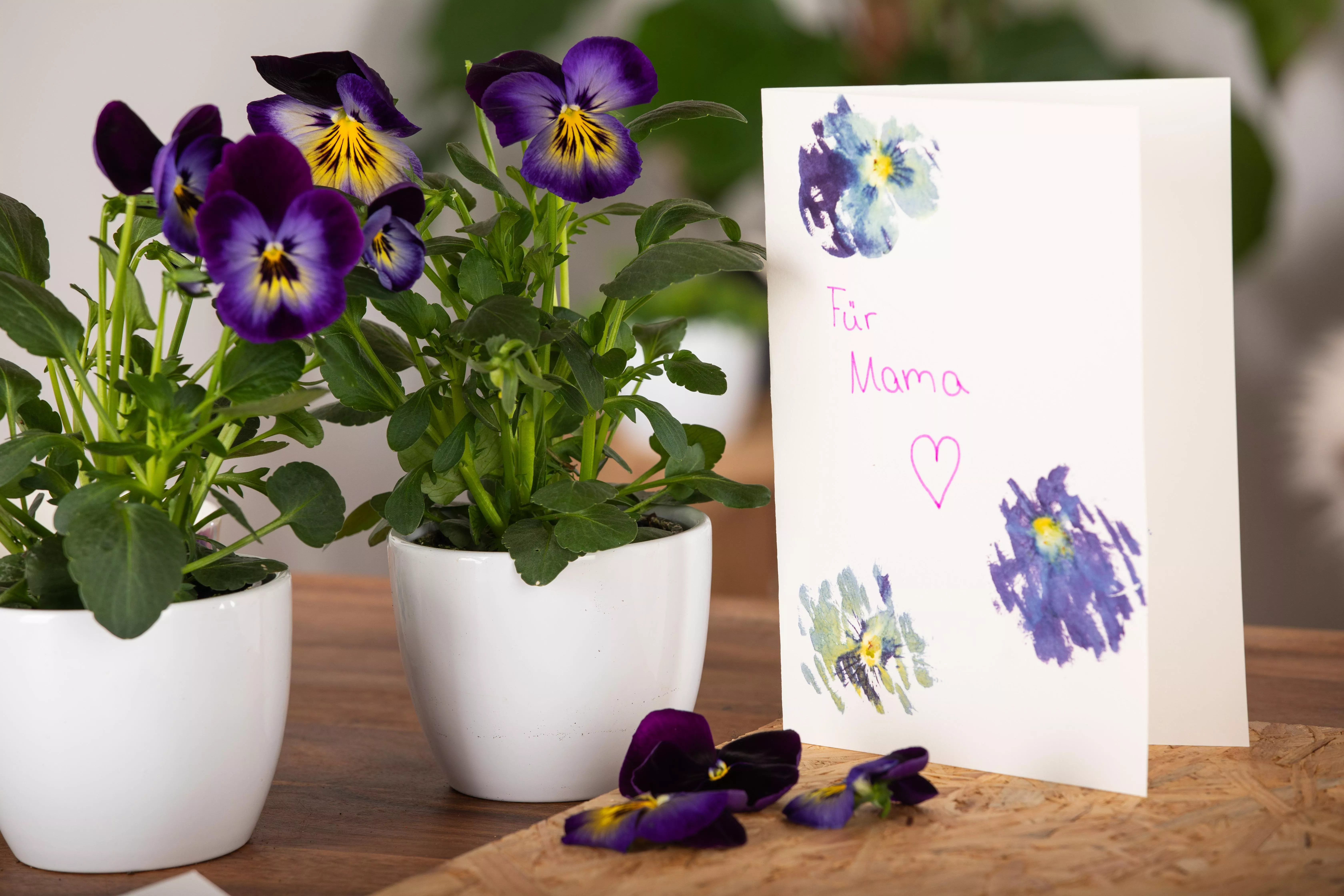 8 GS615658 Muttertagskarte