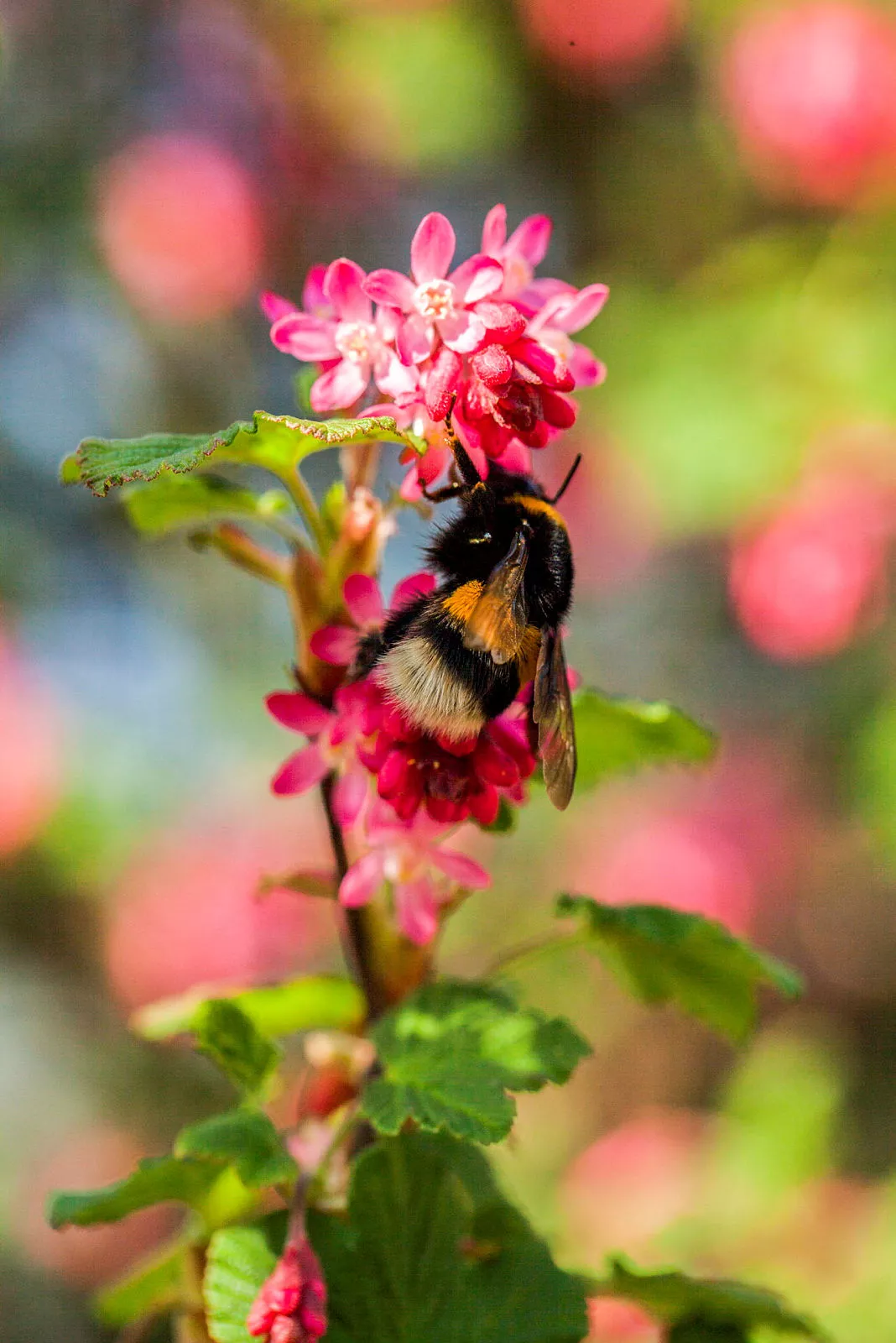 GS475891 jpg zCe51 zvMTt P6VjgBkA 73iy6H iPL