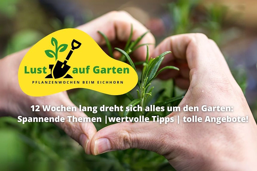 Lust auf GartenEichhorn Website 1024x576