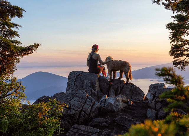 Urlaub mit Hund in Deutschland