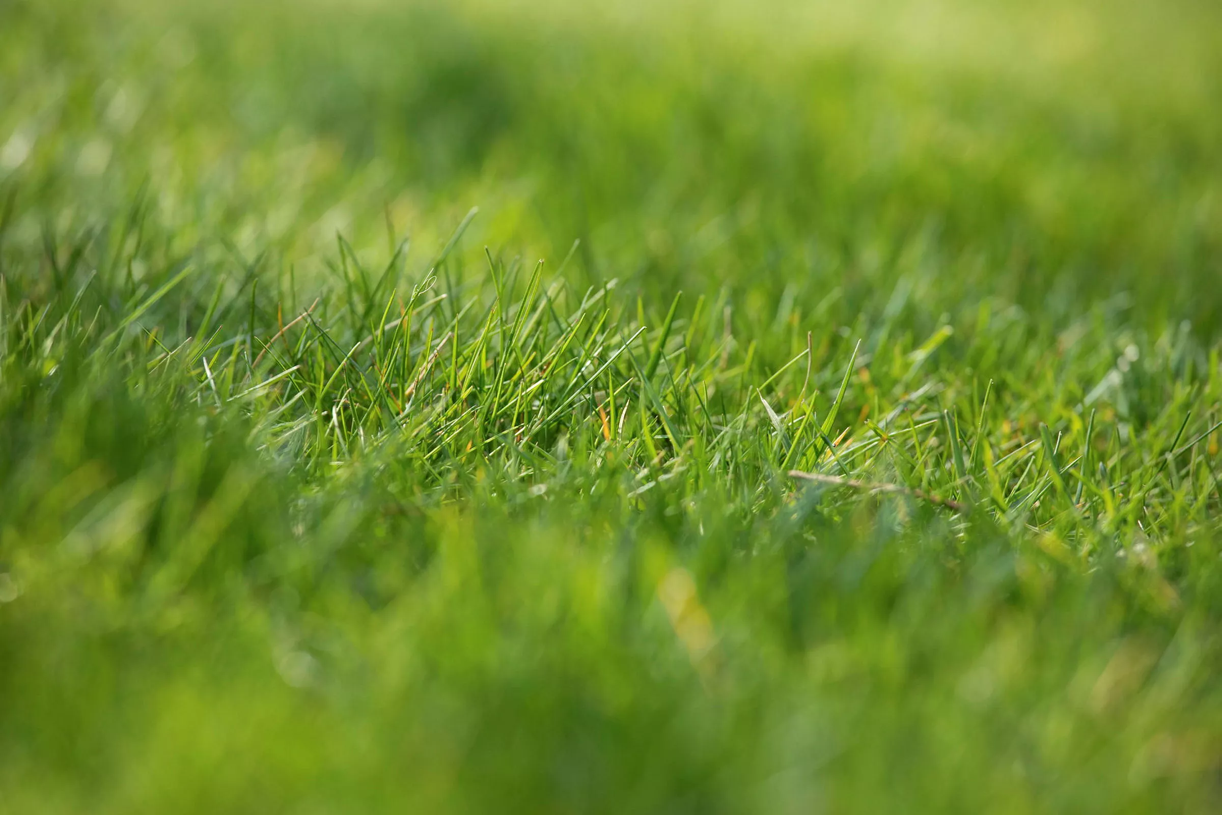 GS620185 jpg zCfUve vMcvZO6VjwCUA umNW339 SU