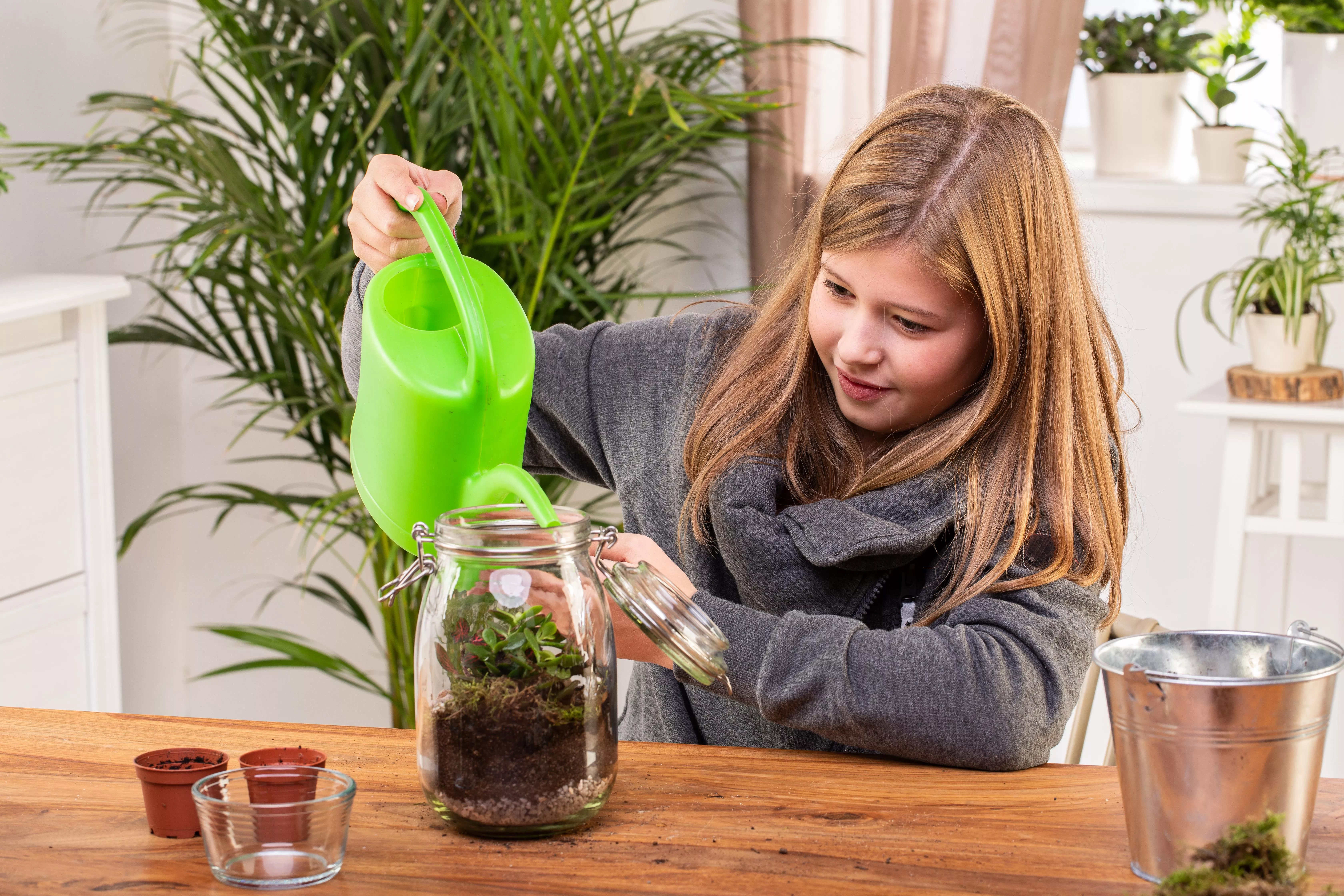 8 GS606053 DIY Biotop im Glas