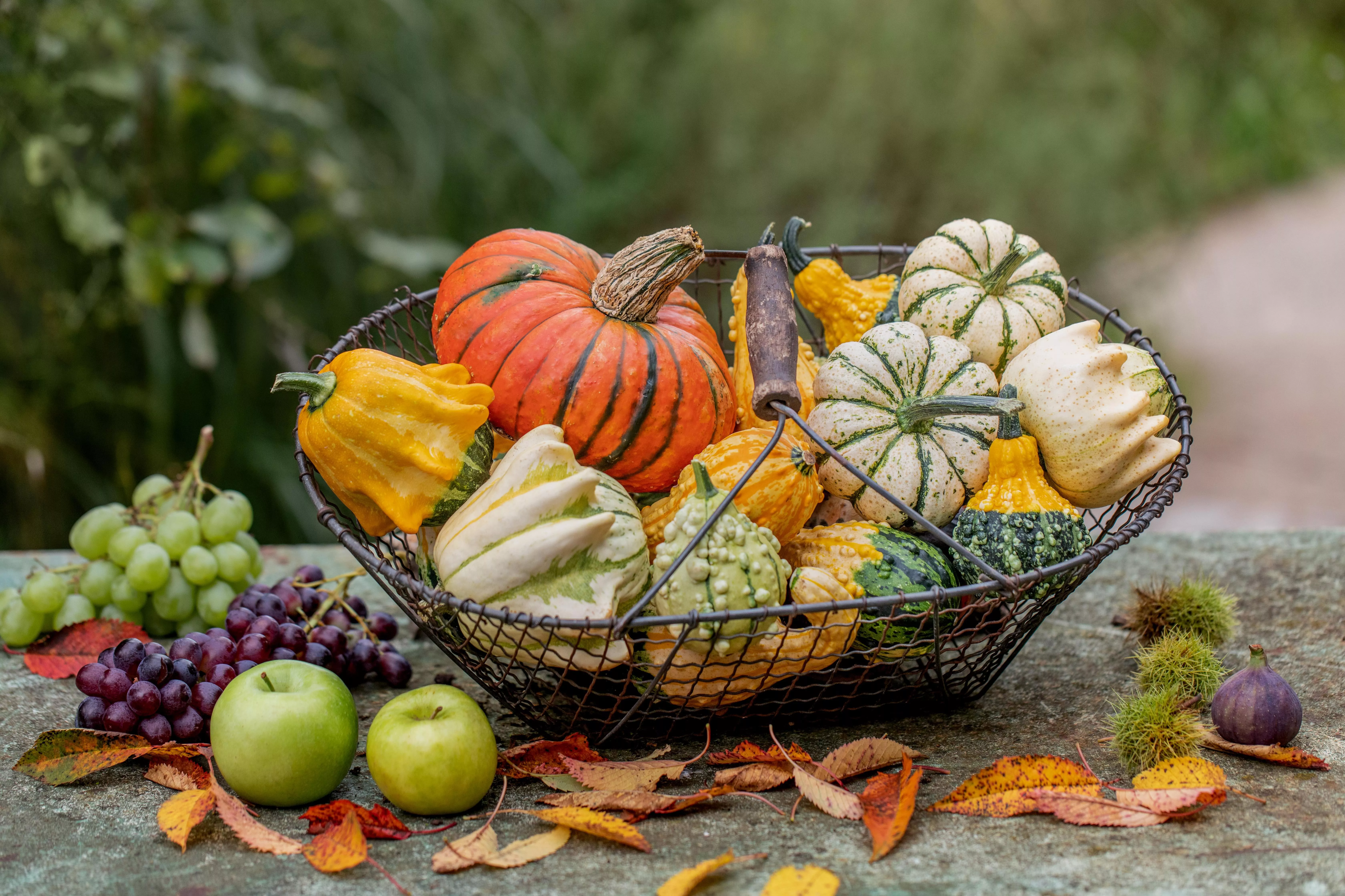 GS720778 Herbstdeko Kürbisse und Herbstfrüchte