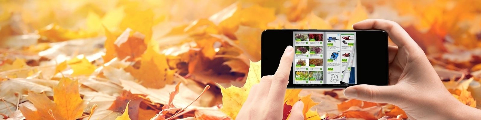 Website 1600x400 digitaler Prospekt Herbst Website 1600x400 digitaler Prospekt Herbst