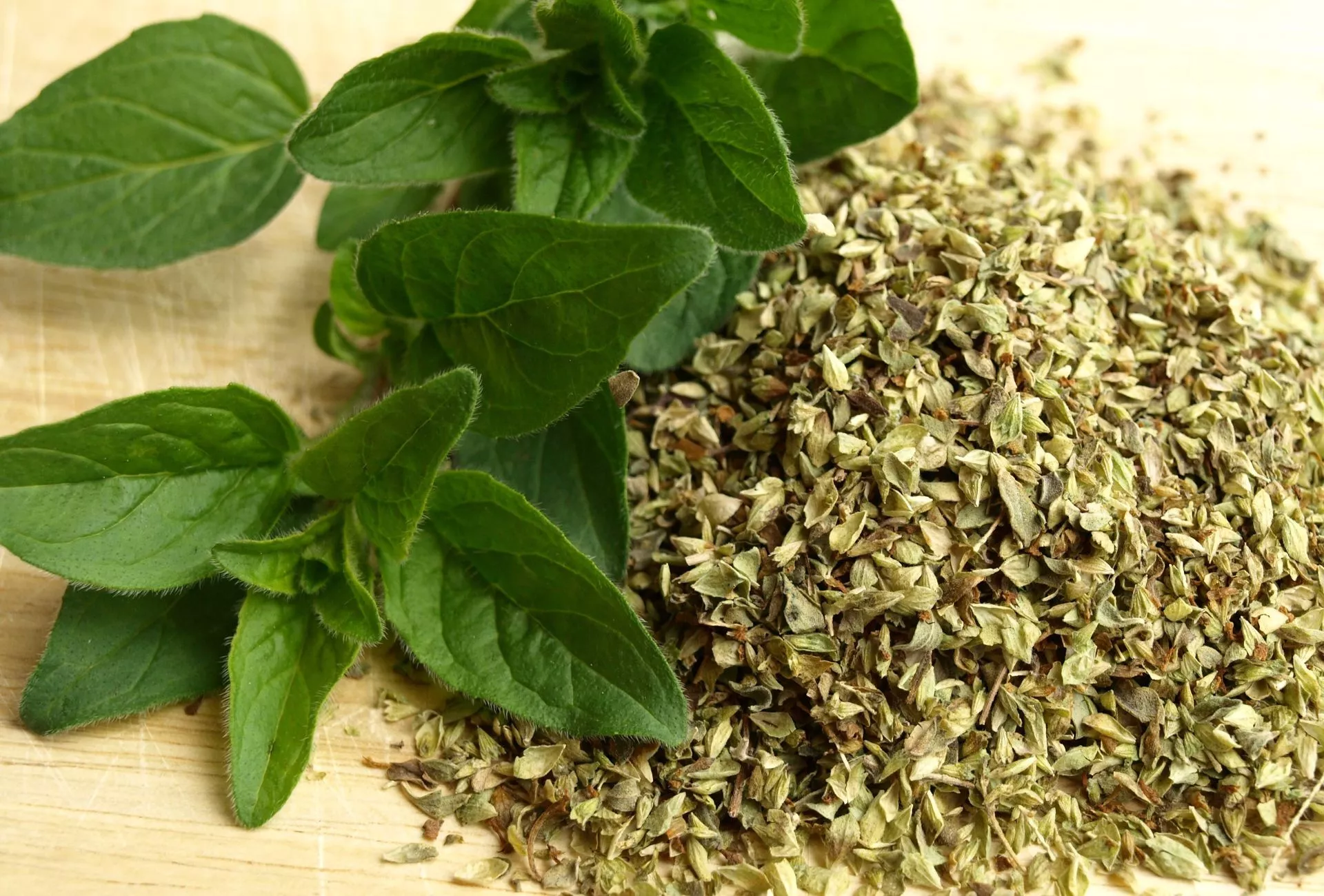 oregano in salaten