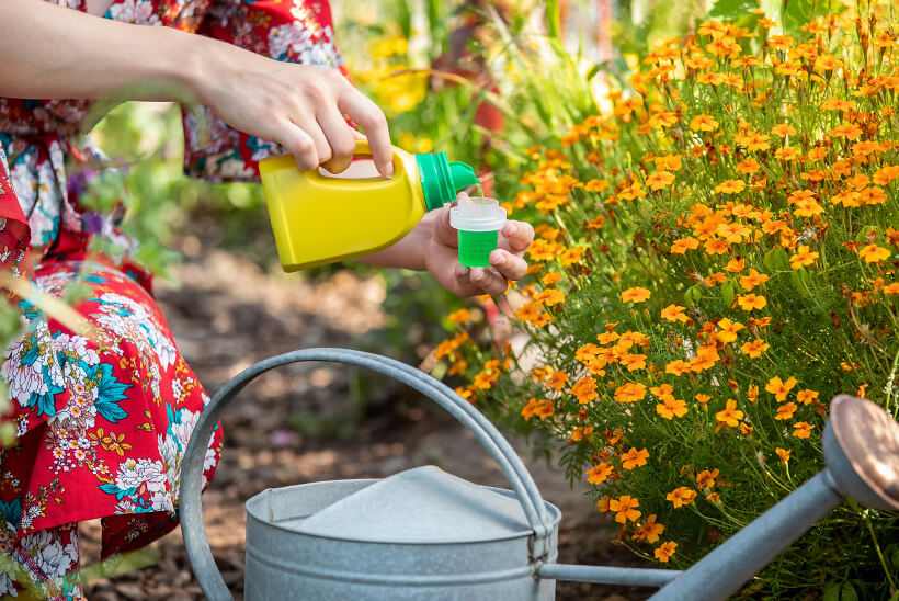 Schluss mit &bdquo;Viel hilft viel&ldquo;: Richtig d&uuml;ngen im Garten
