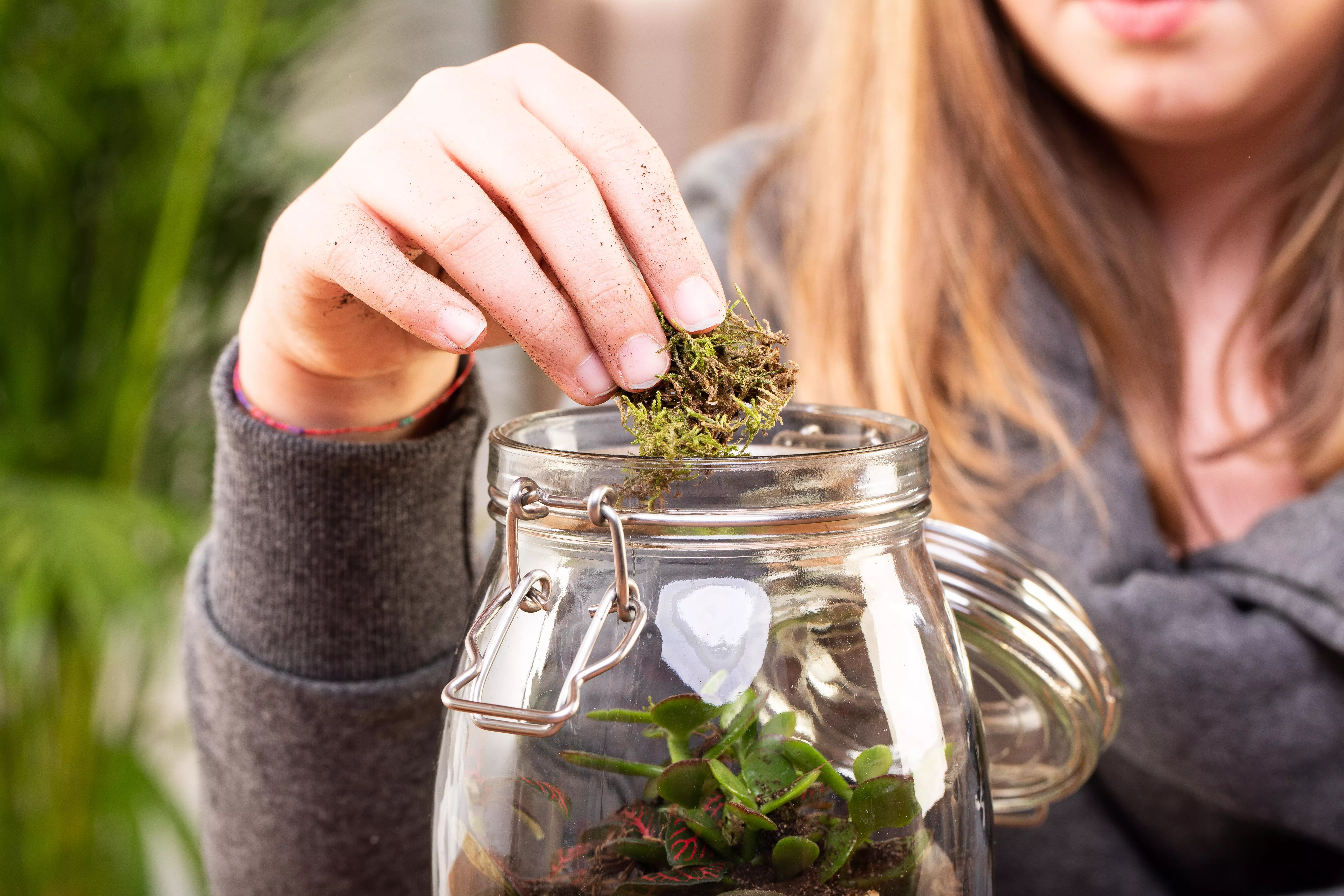 7 GS606051 DIY Biotop im Glas