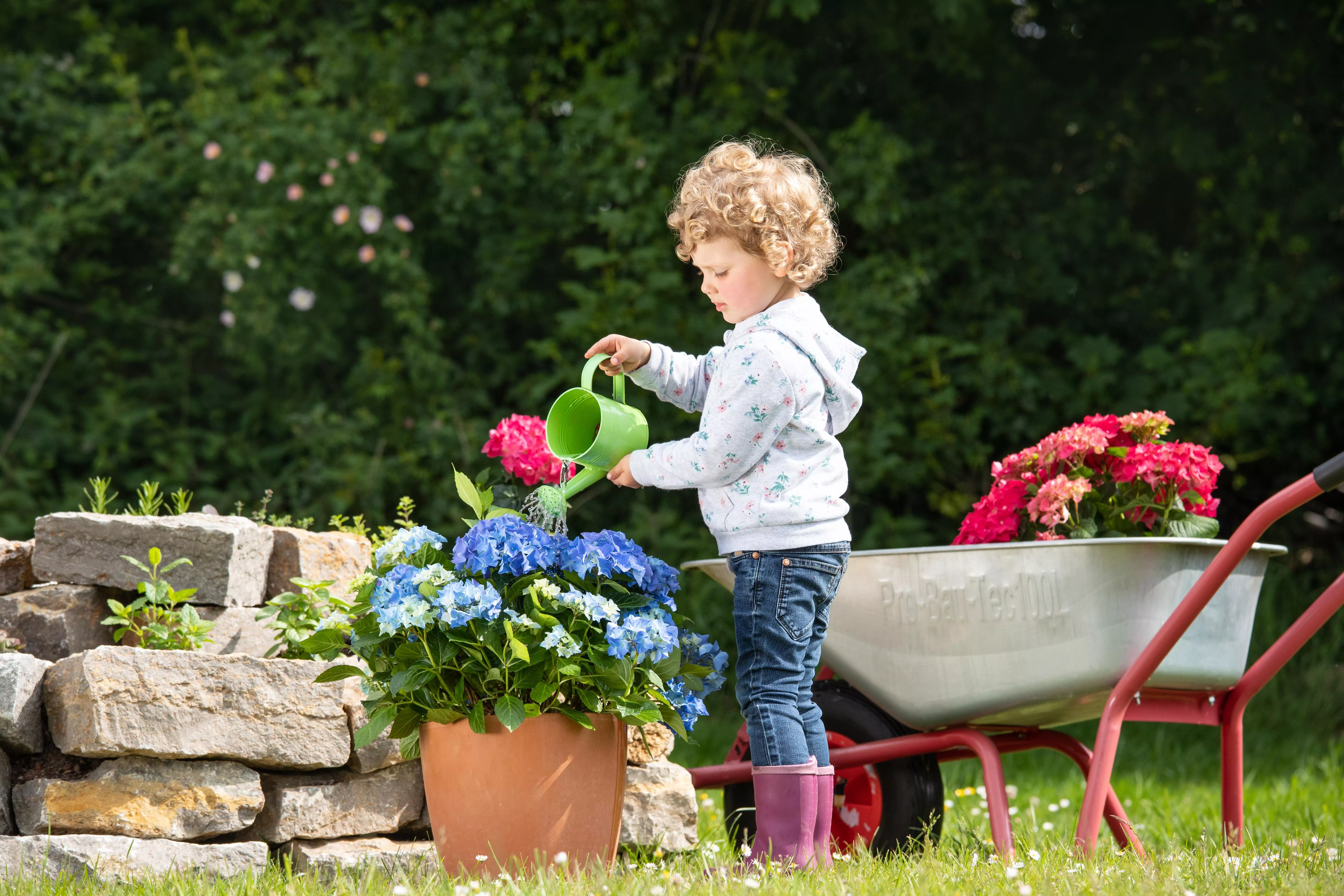 GS649307 Muttertag Kind gießt Hortensie