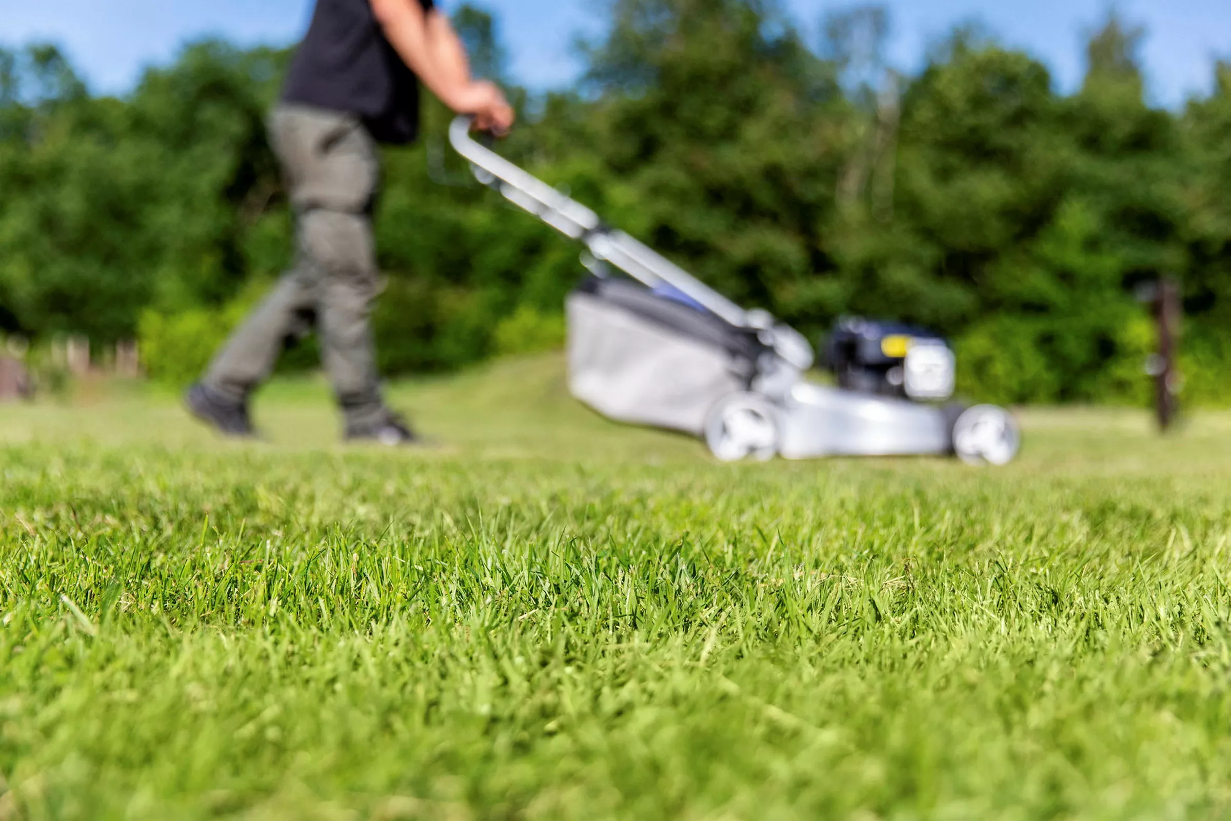 GS714498 jpg zCepjYjwMf9XOaVjwCUA 1FAJlaoG7x