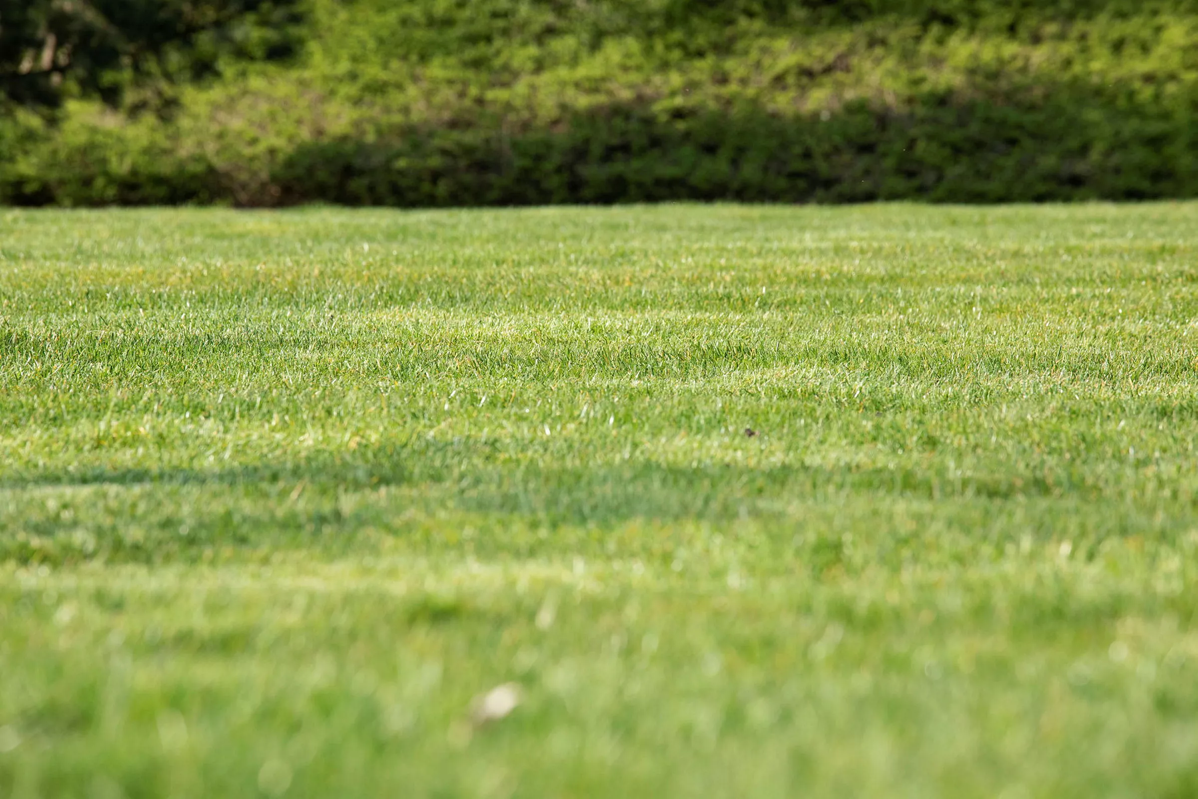 GS620199 jpg zCfBxvDvMafZO6VjwCUA LPaPPcdbj1