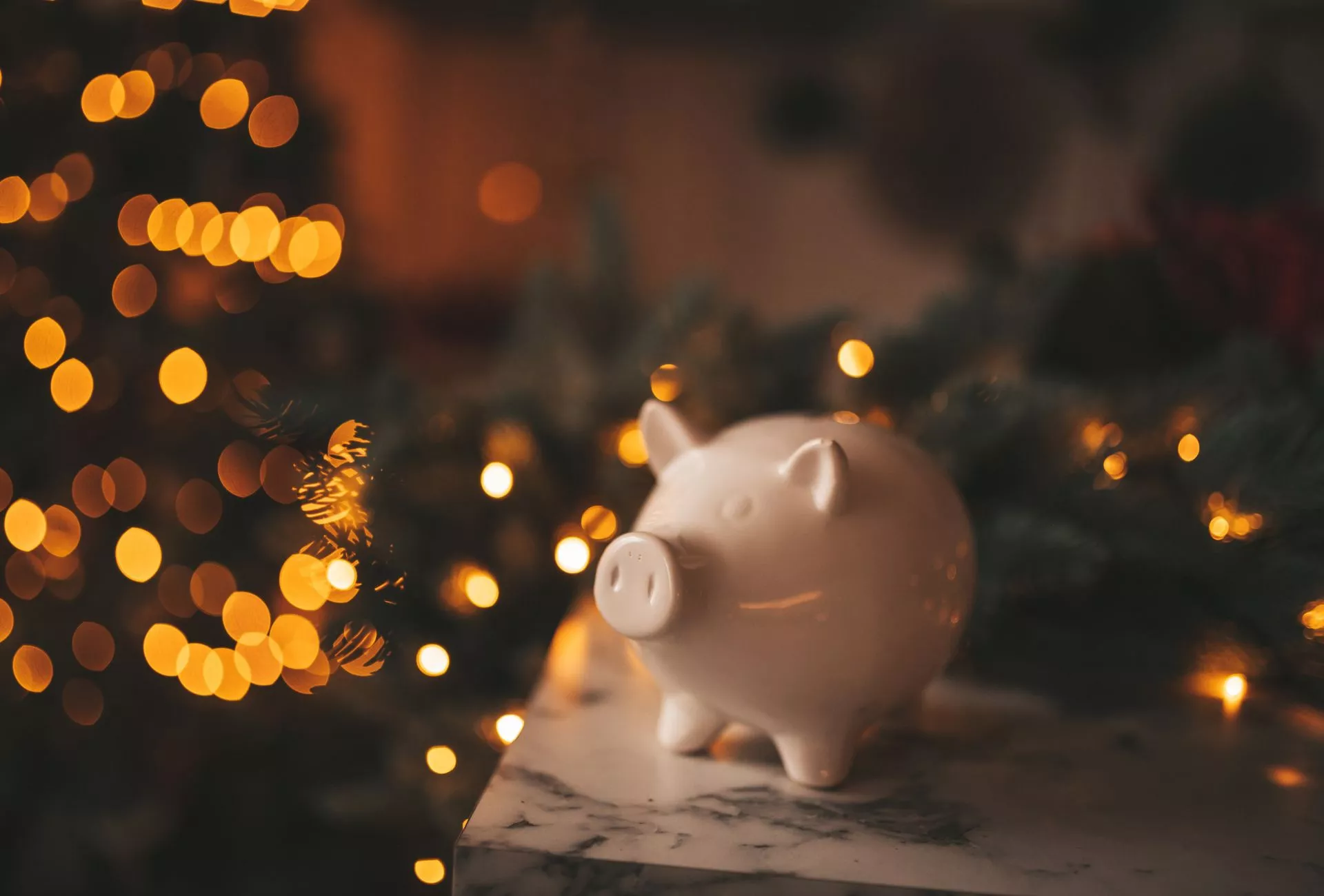 Lichterkette Sparschwein (2)