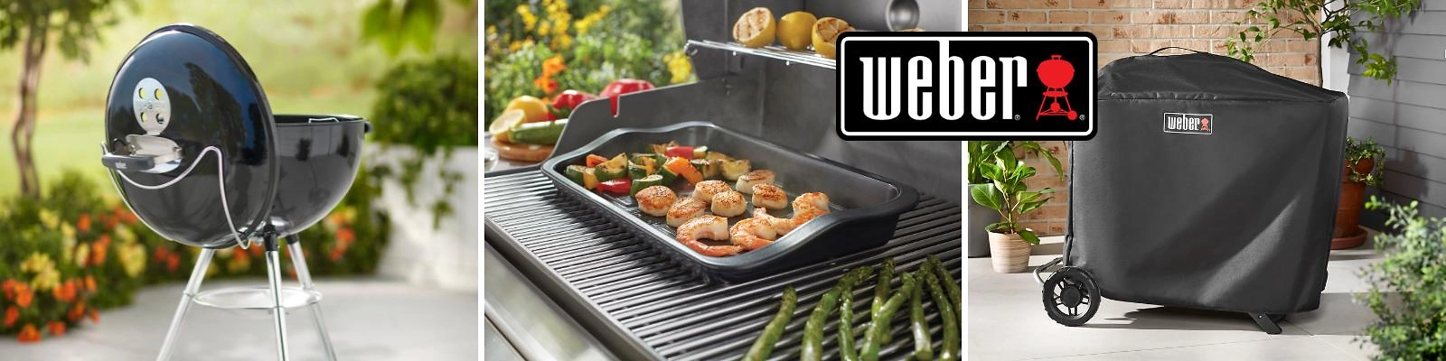 1600x400 Weber