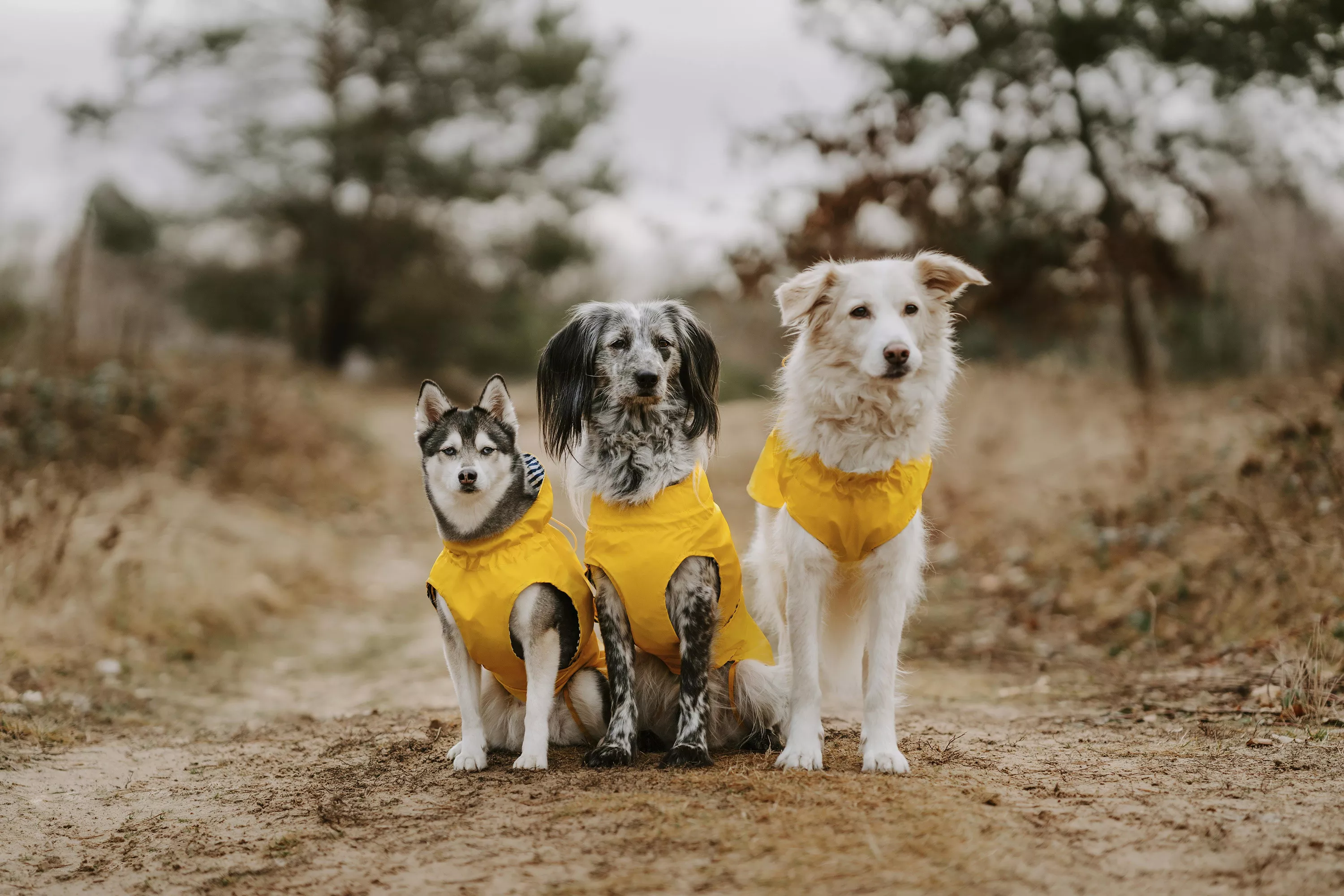 4016739697400 50380 4