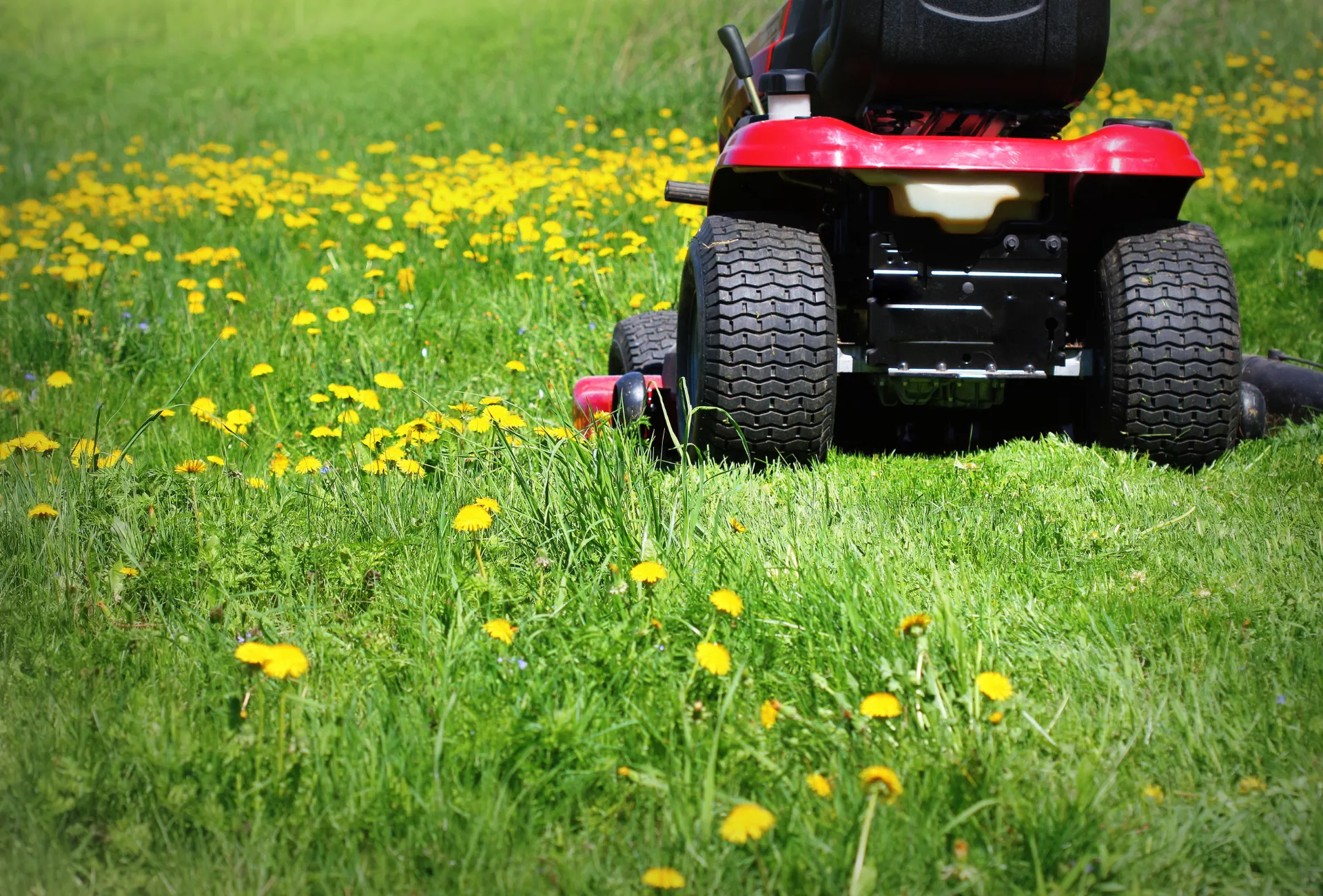 Rasenmähen (8)