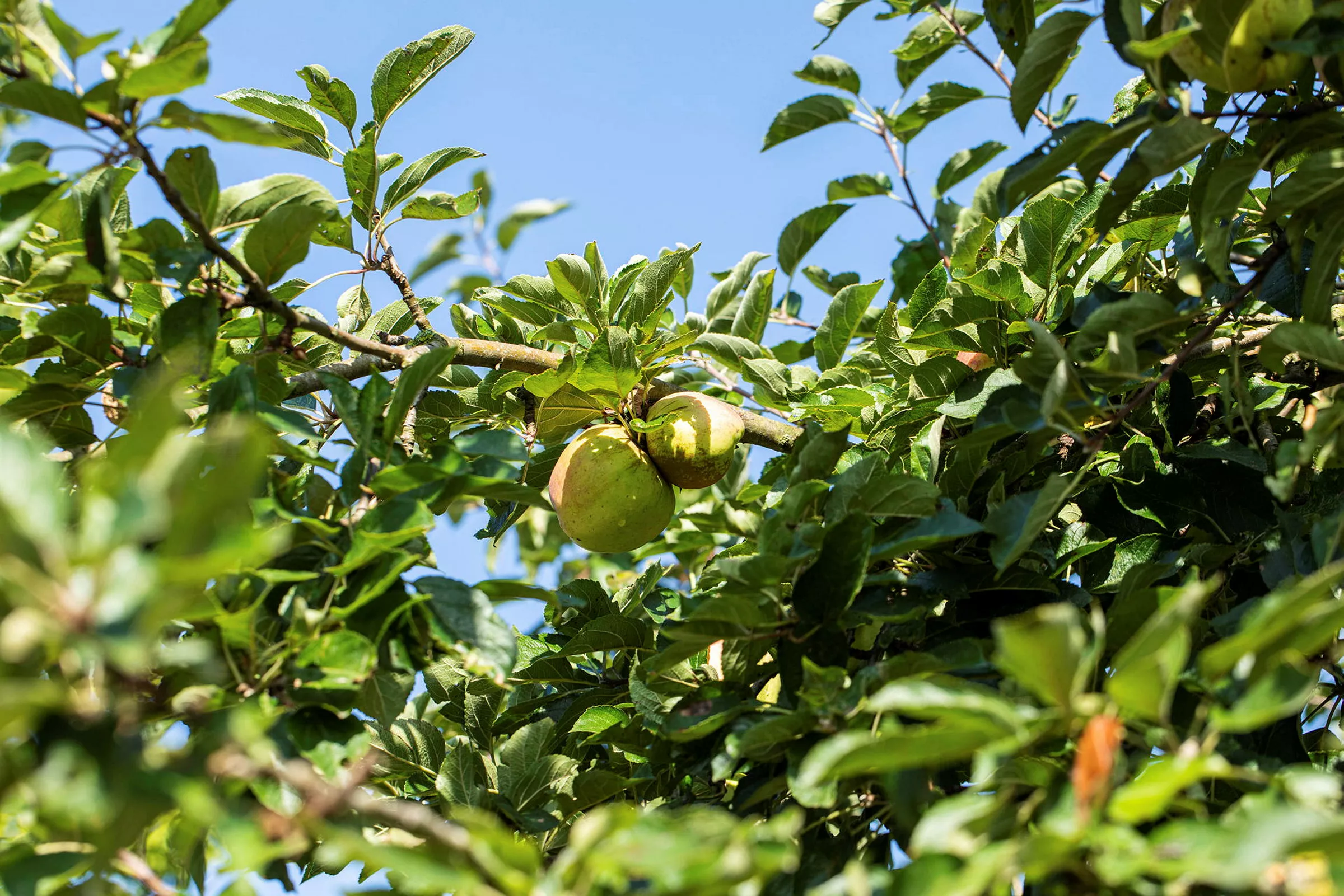 GS650468 jpg zCfAtPPvMQ9PO6VjwCUA JSYWzc9uLM