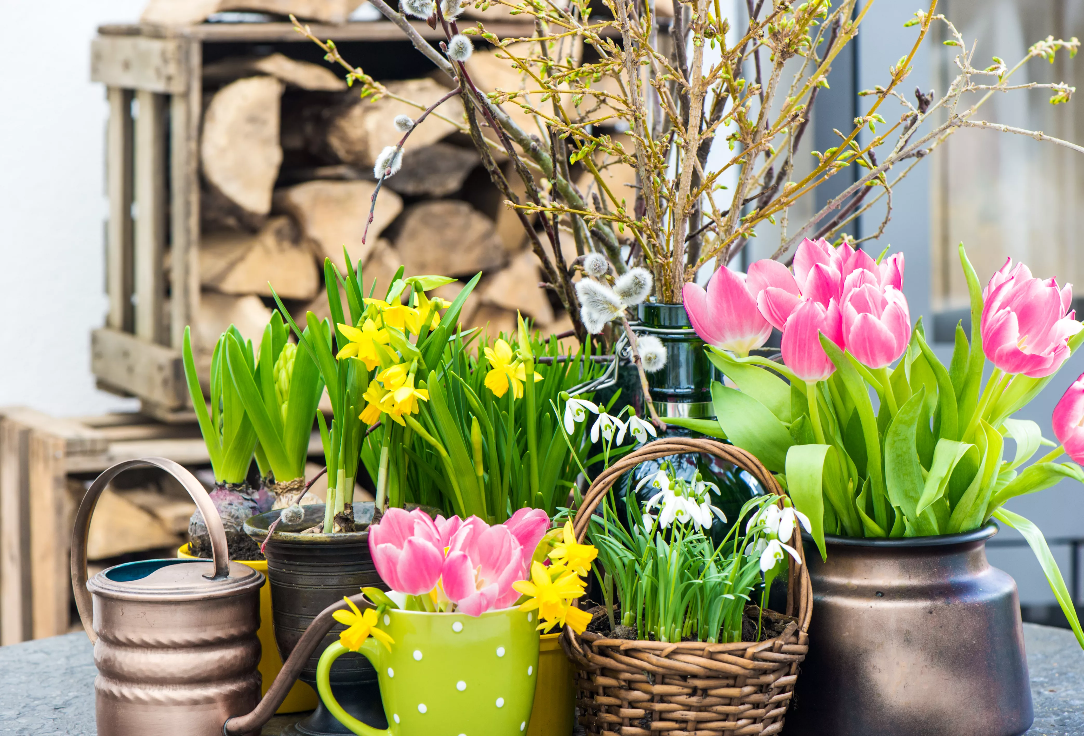 shutterstock 172235456