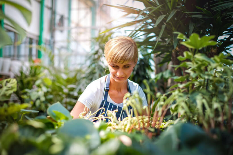 Urban Gardening 2.0 &ndash; wie sich der Trend zum Homegrow weiterentwickelt