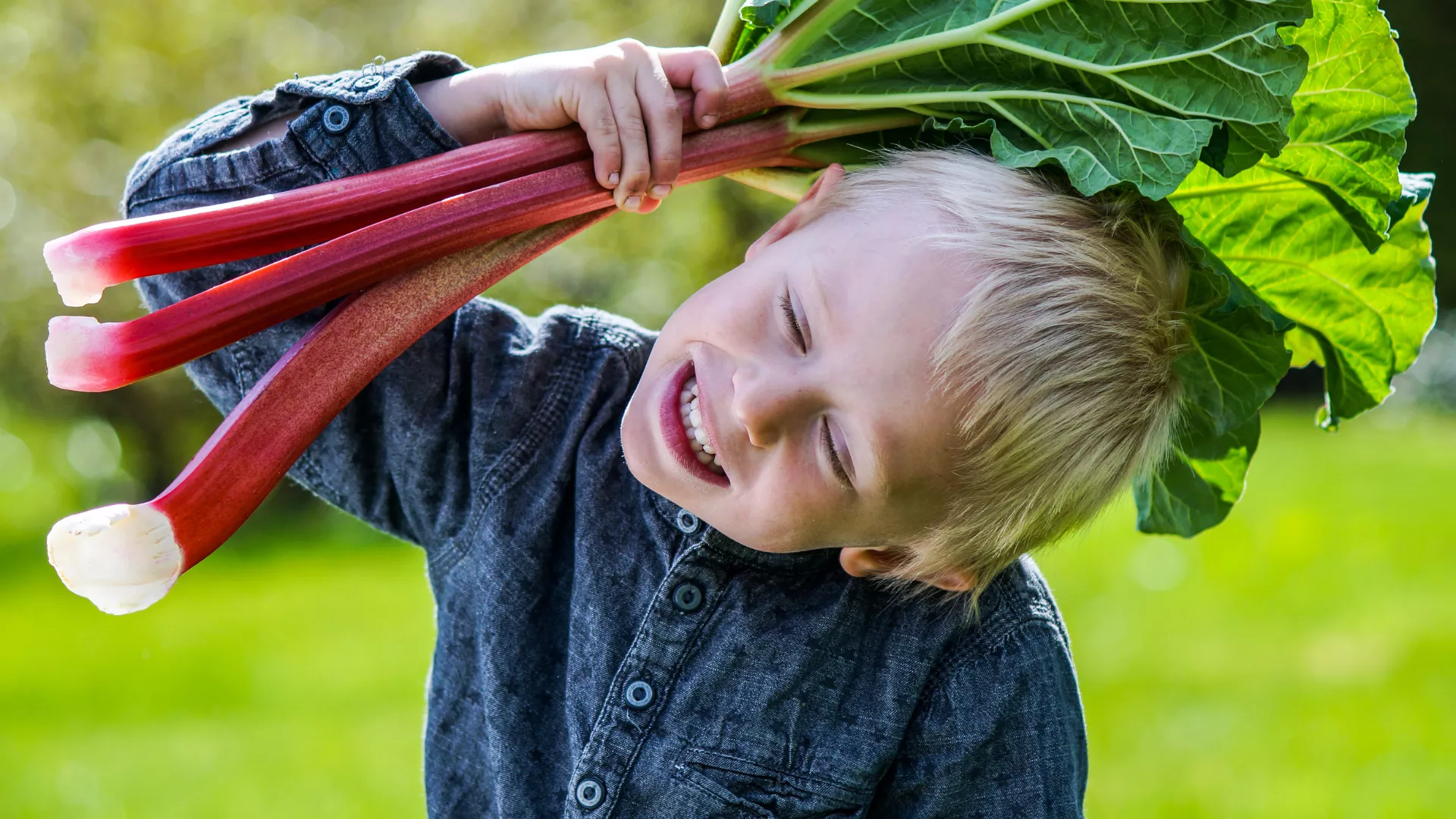 Rhabarber Kind