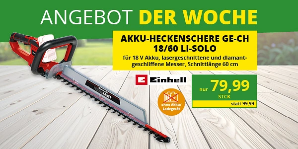 KW 17 2026 ADW Eichhorn Webkachel