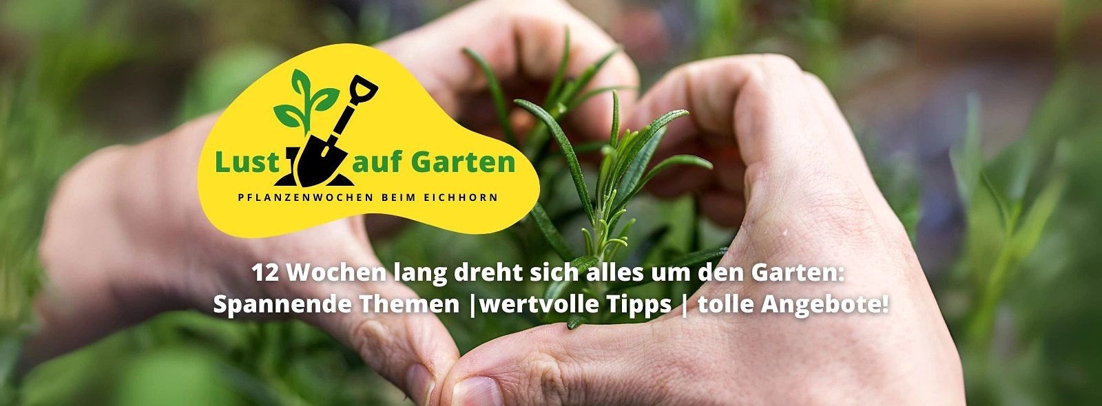 Lust auf Garten Eichhorn Website 1600x590