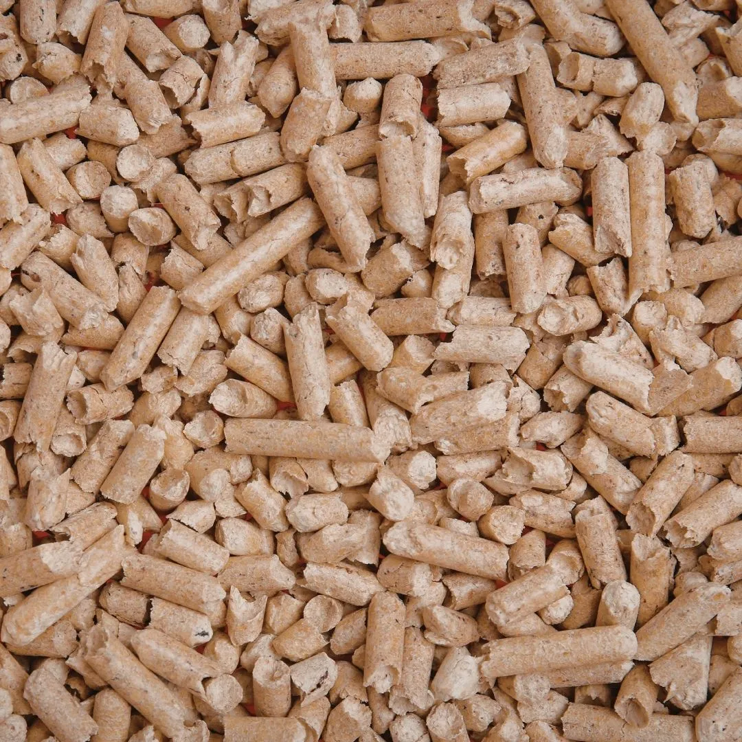 1zu1 Holzbrennstoffe (2)