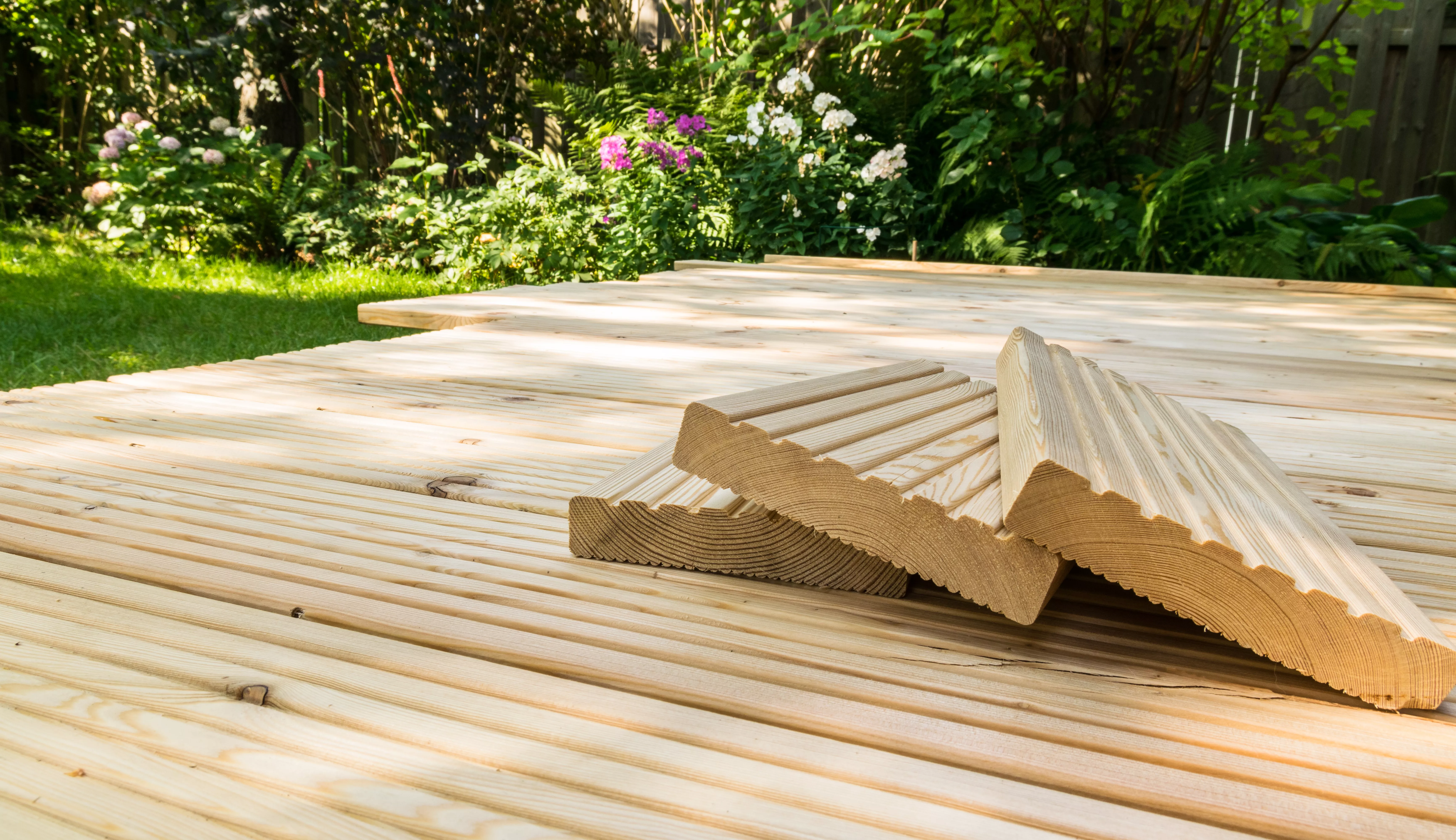 shutterstock 1280045020