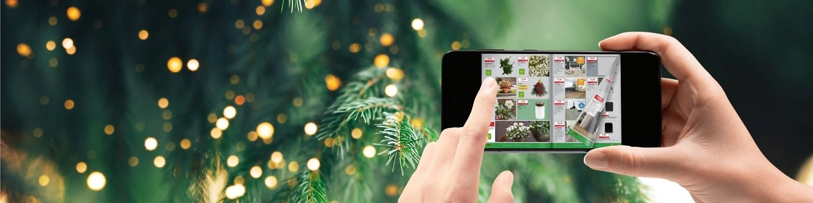 Website 1600x400 digitaler Prospekt Winter1