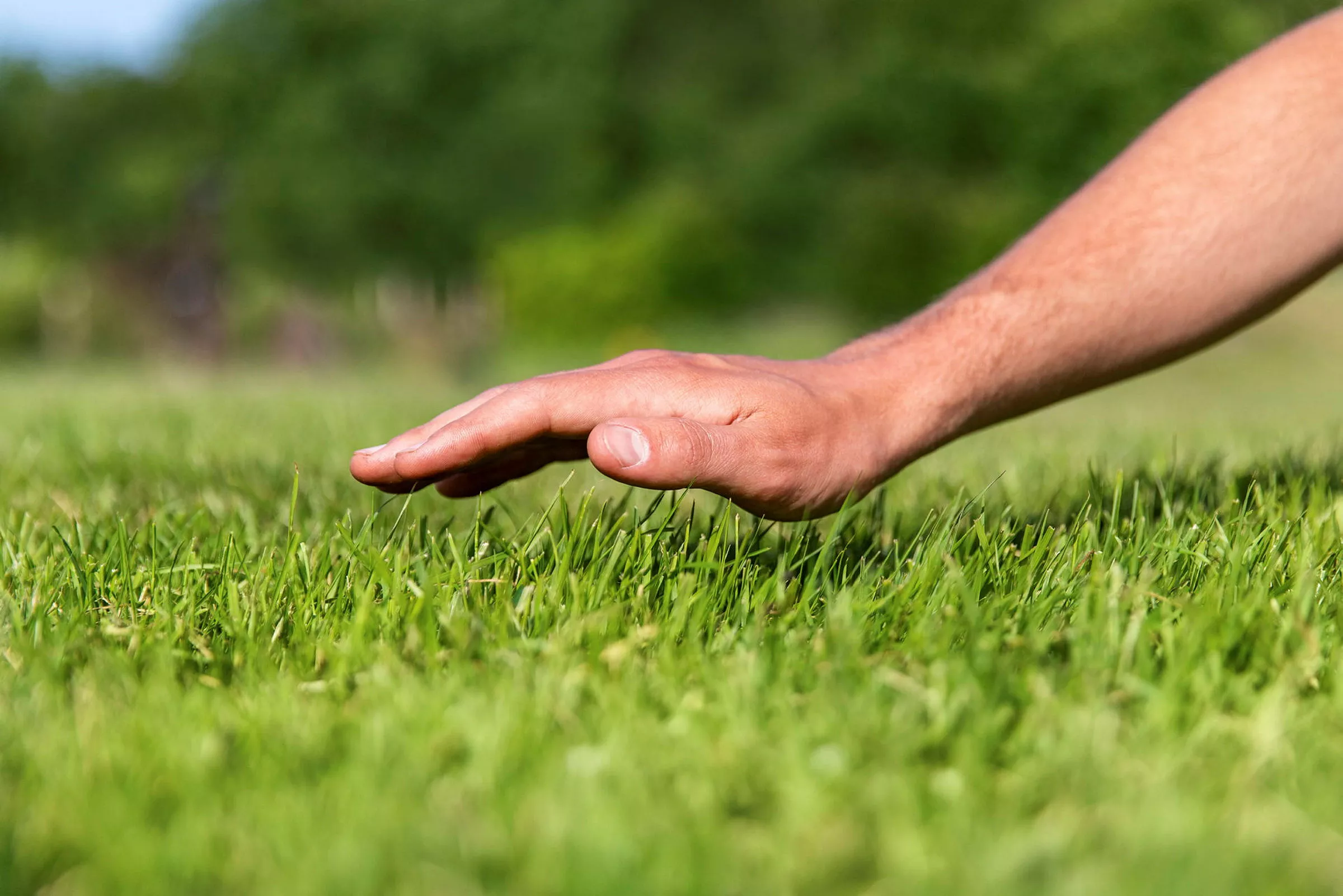 GS714492 jpg zCezmoTwMQVZOaVjwCUA u4ansvYyJR