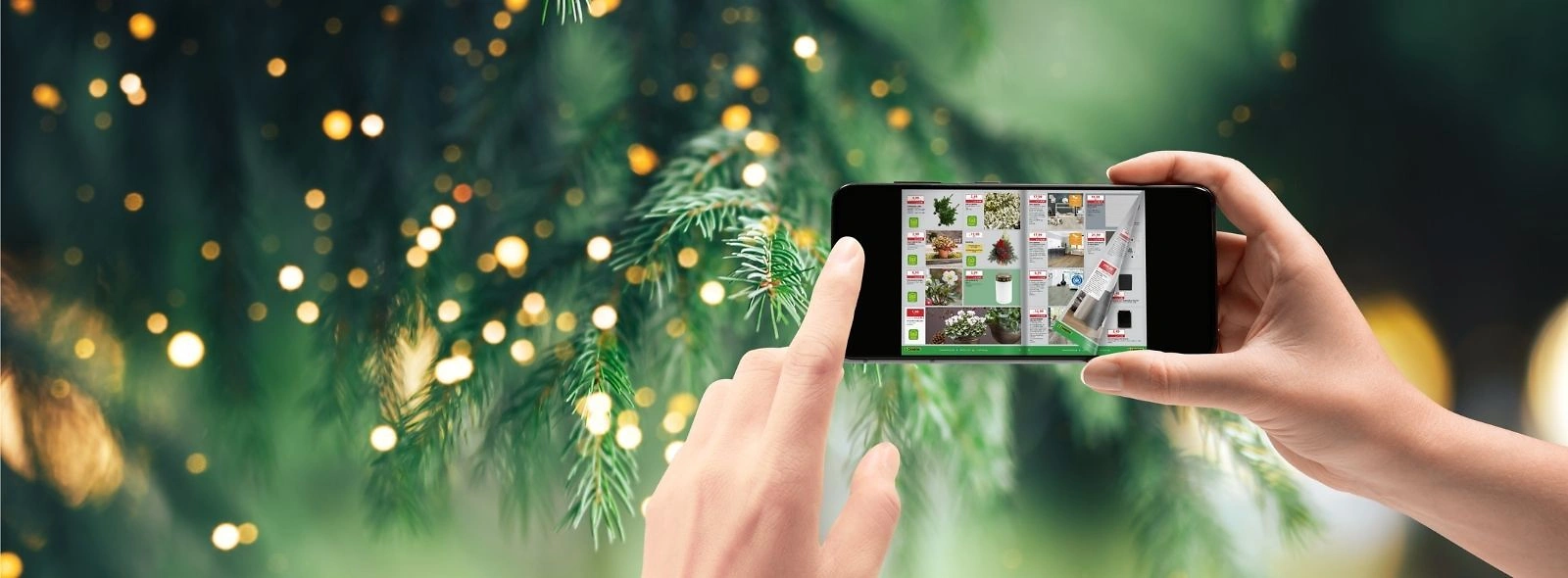 Website 1600x590 digitaler Prospekt Winter1