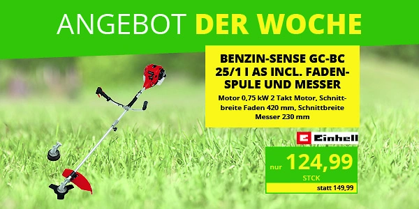 KW 19 2026 ADW Eichhorn Webkachel