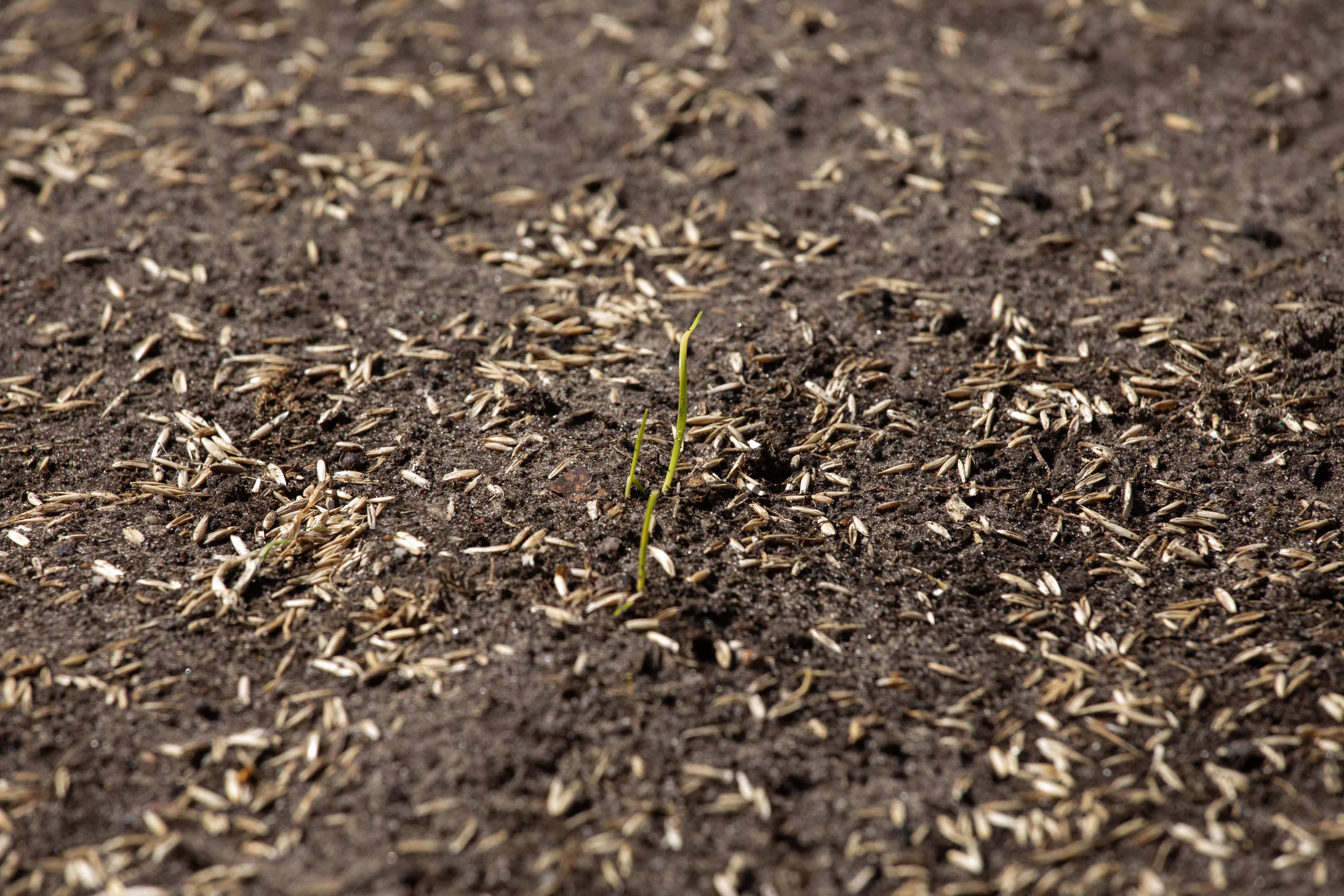 GS659415 GS659415 jpg