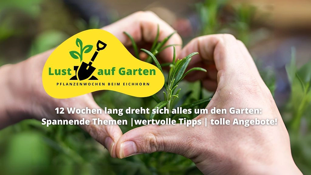 Lust auf GartenEichhorn Website 1024x576